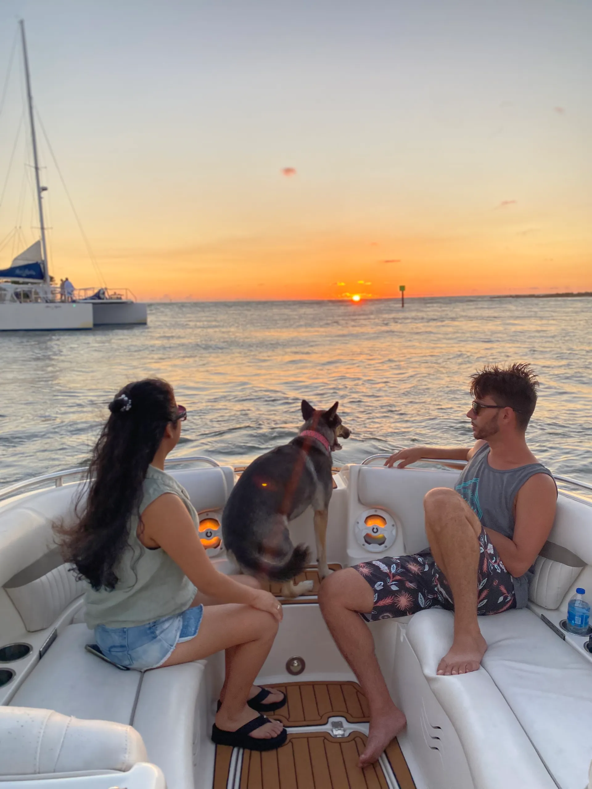 SURREEL LIFE “living the dream” 