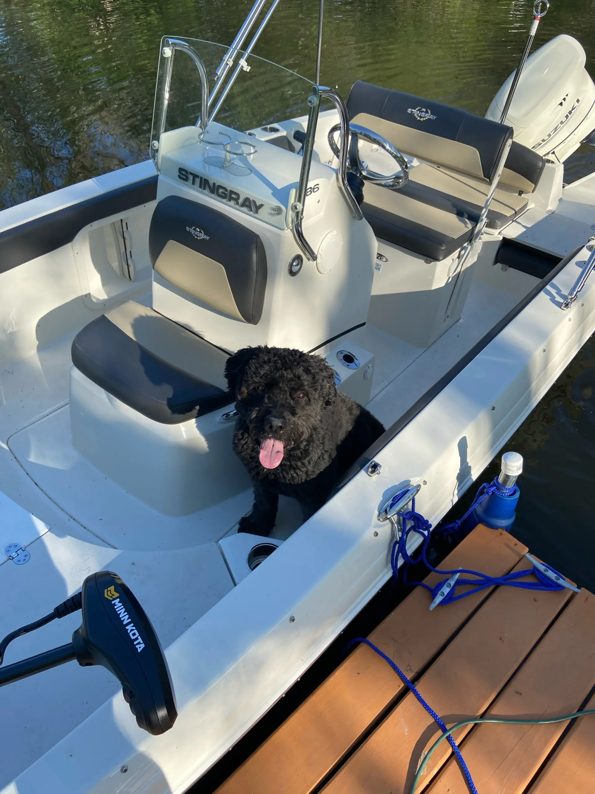 STINGRAY BOATS 186CC in Delafield, WI — photo 6