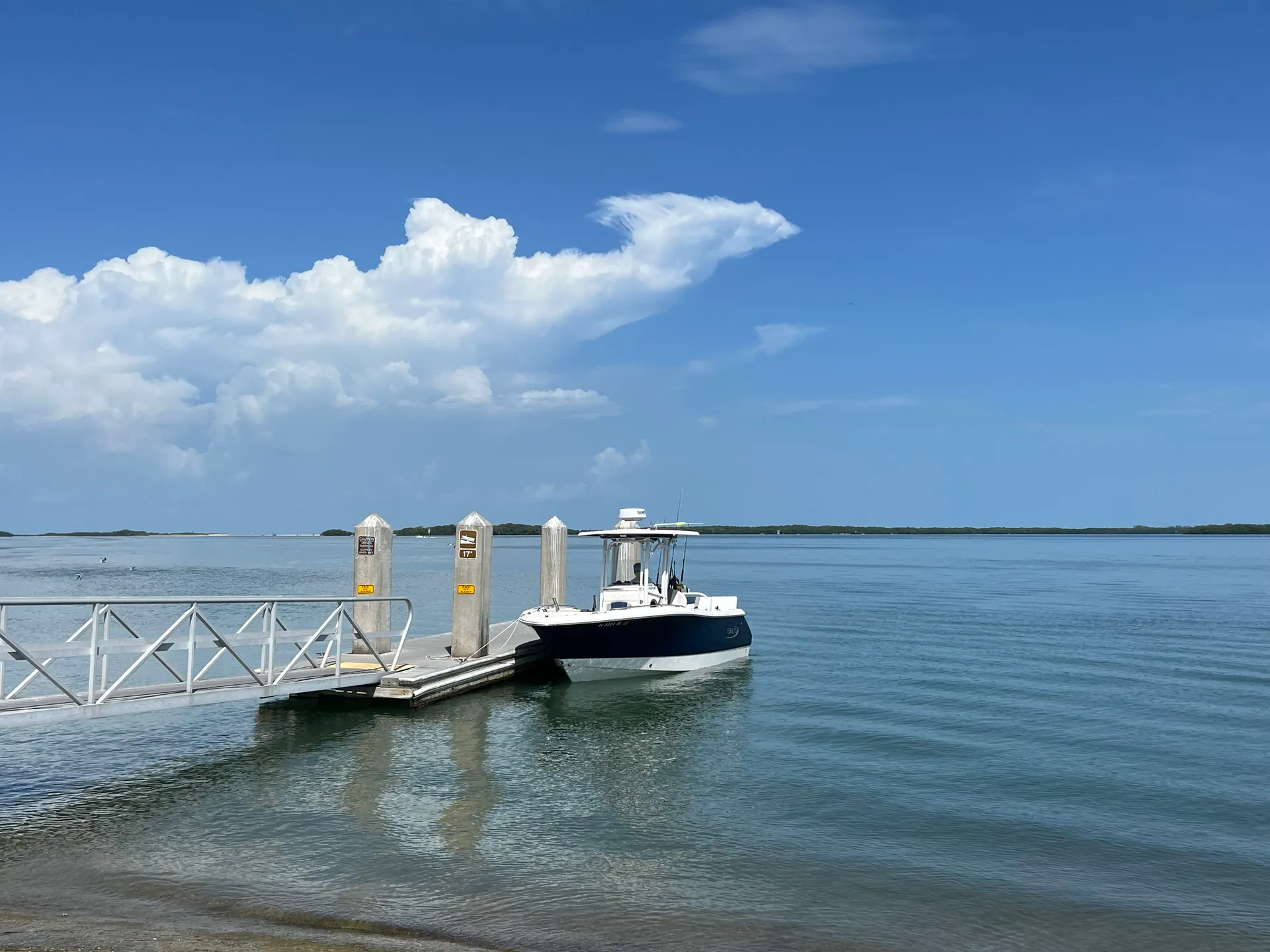 ROBALO R230 CC in Holiday, FL — photo 4