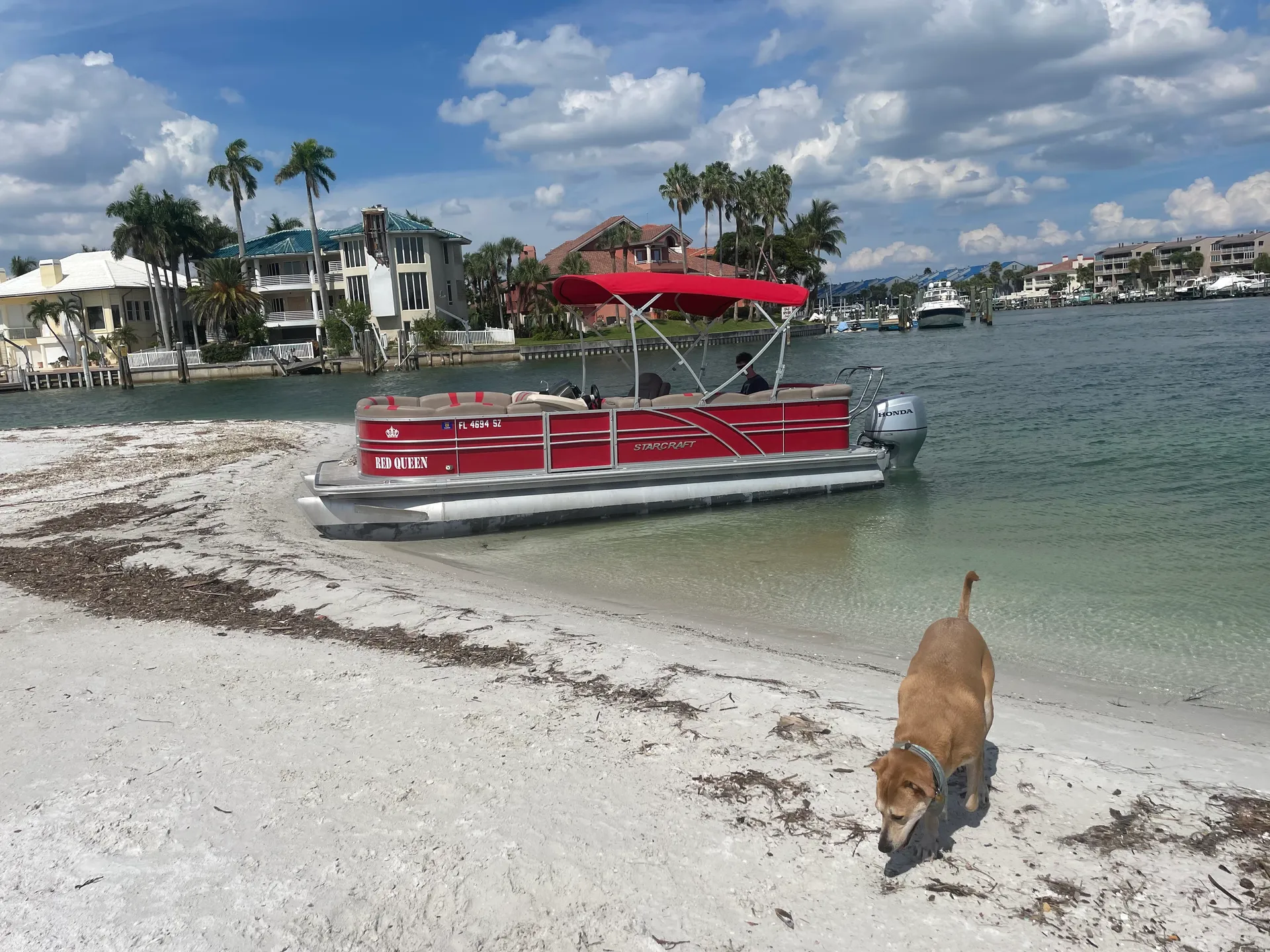 Comfortable 24’ Tri Toon