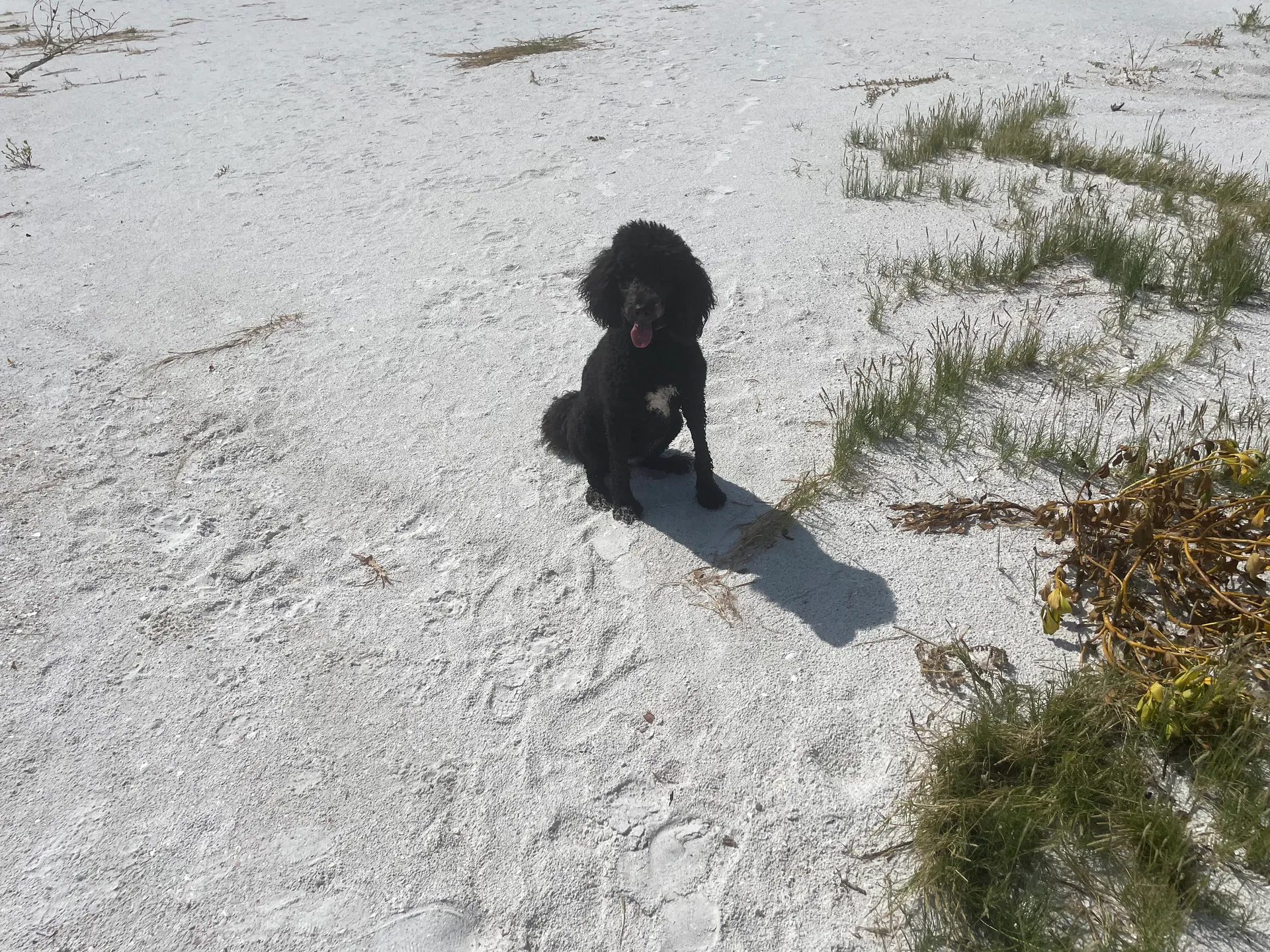 Comfortable 24’ Tri Toon