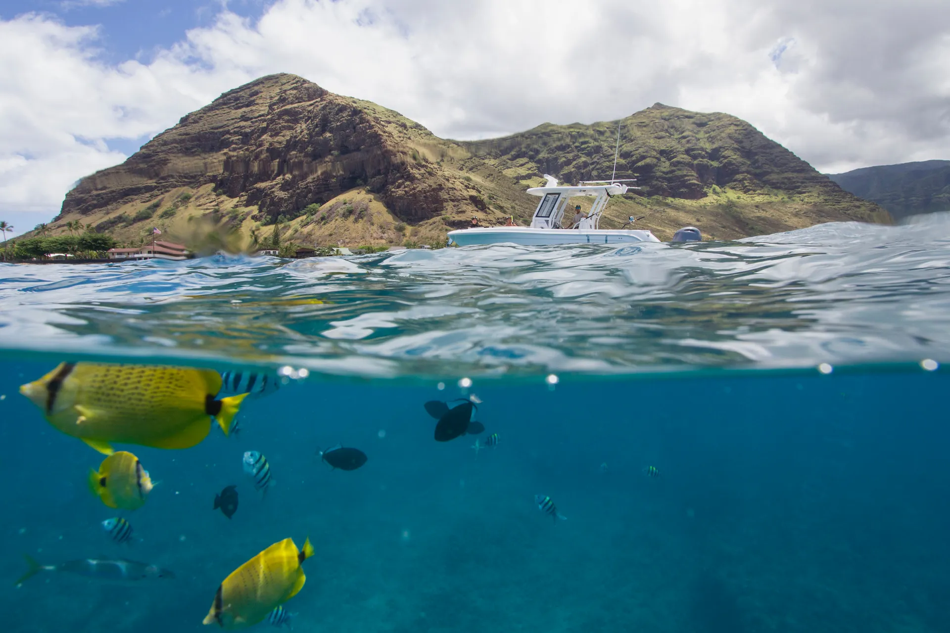 Luxury Private Boat Charter - Dolphins, Fishing Charter, Sunset Cruise