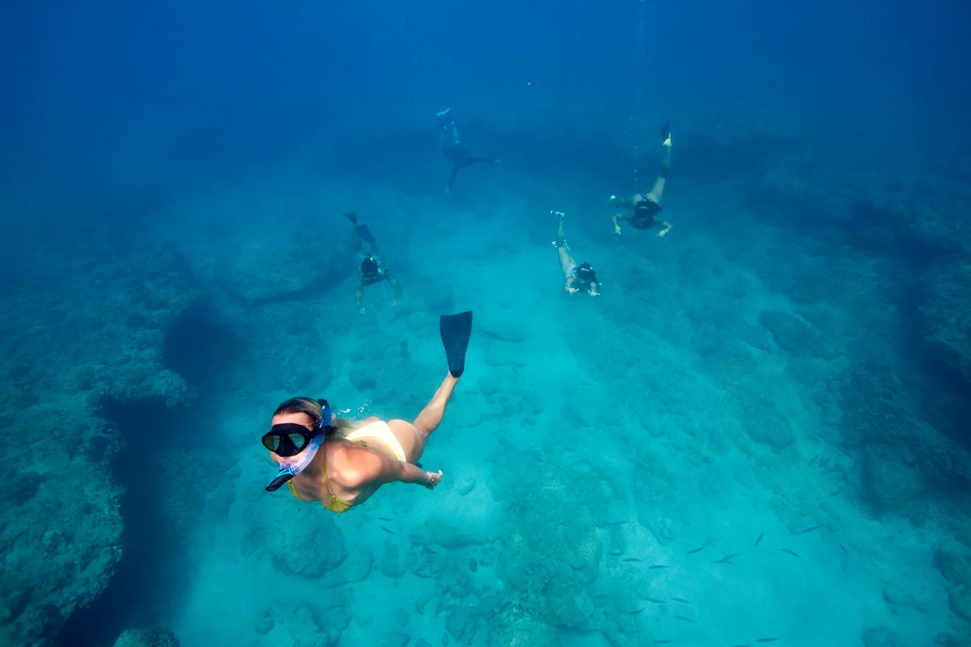 Luxury Private Boat Charter - Dolphins, Fishing Charter, Sunset Cruise