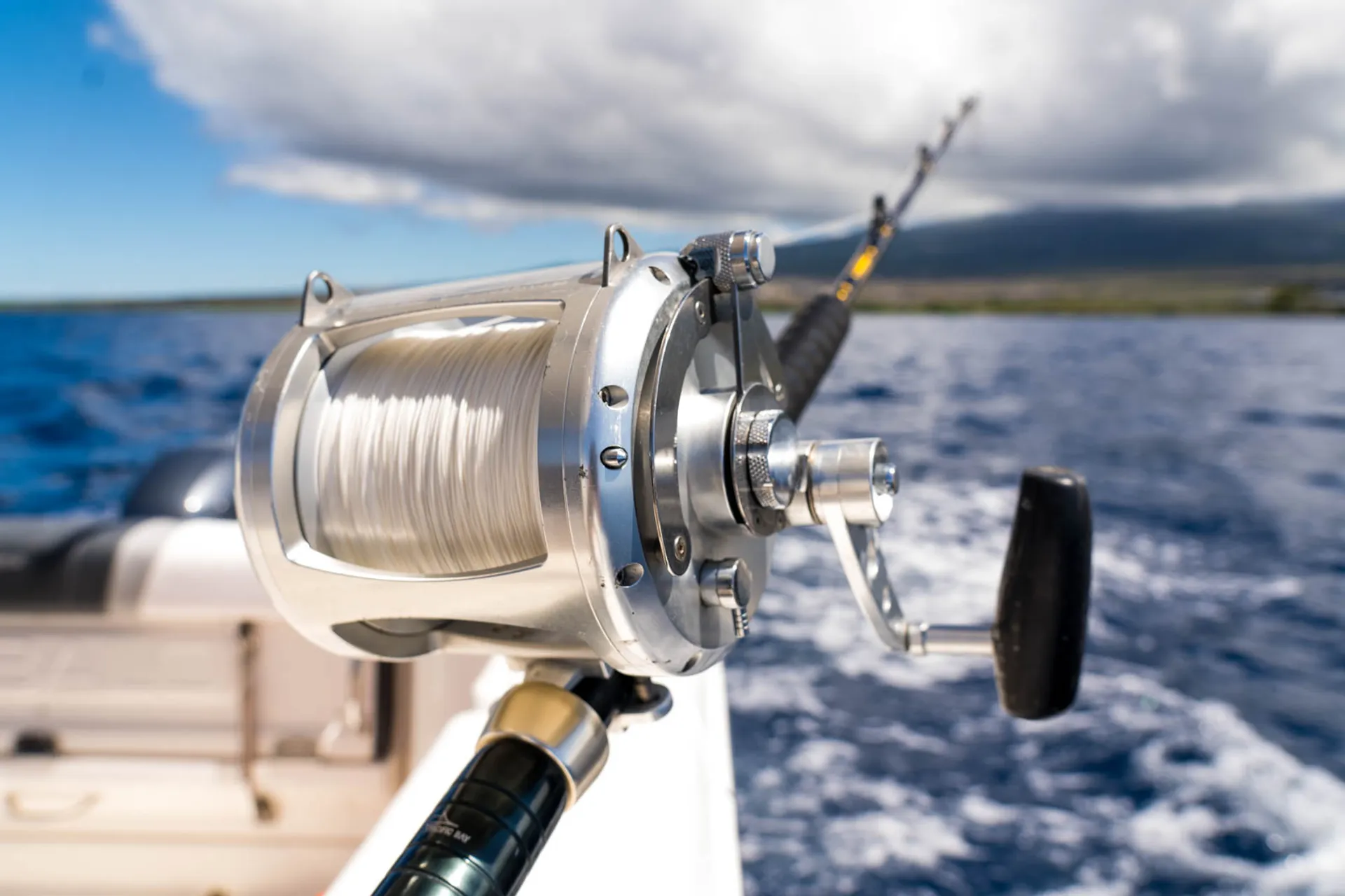 Luxury Private Boat Charter - Dolphins, Fishing Charter, Sunset Cruise