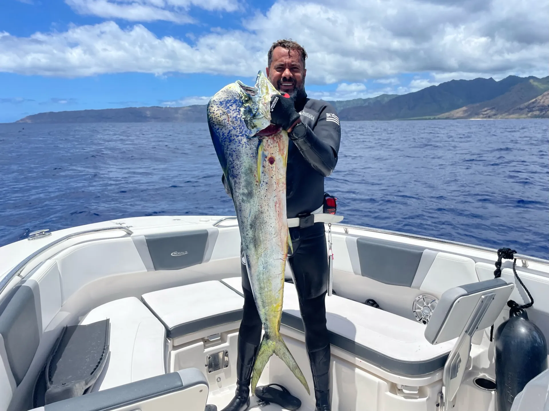 Luxury Private Boat Charter - Dolphins, Fishing Charter, Sunset Cruise