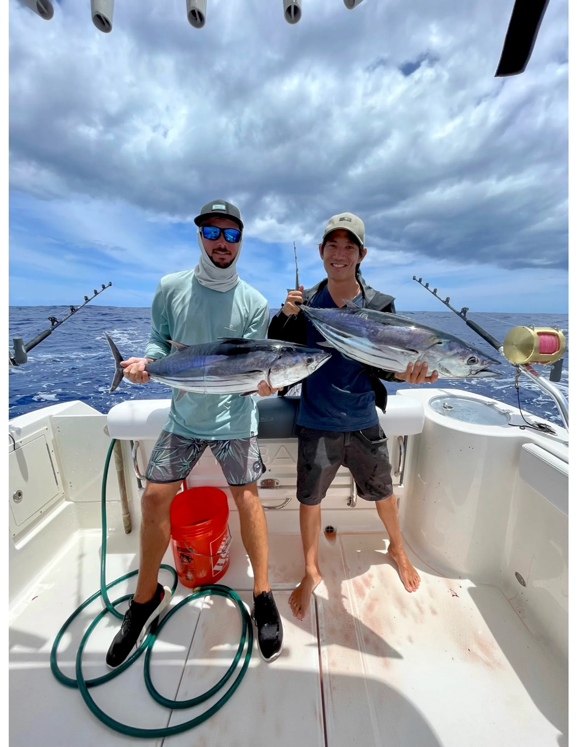 Luxury Private Boat Charter - Dolphins, Fishing Charter, Sunset Cruise