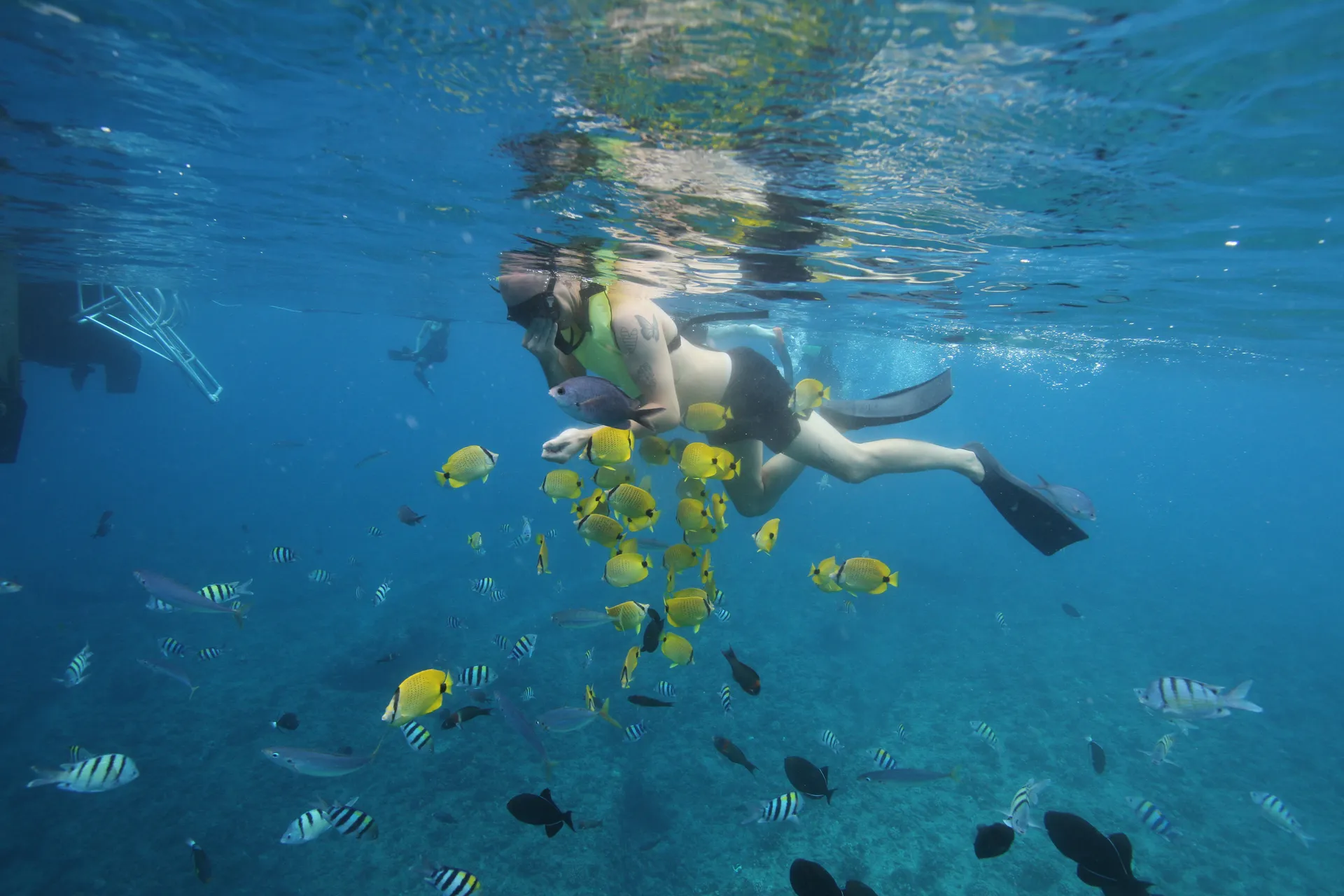 Luxury Private Boat Charter - Dolphins, Fishing Charter, Sunset Cruise