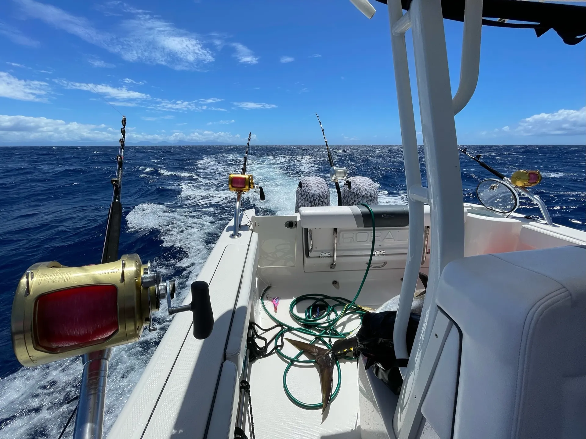 Luxury Private Boat Charter - Dolphins, Fishing Charter, Sunset Cruise