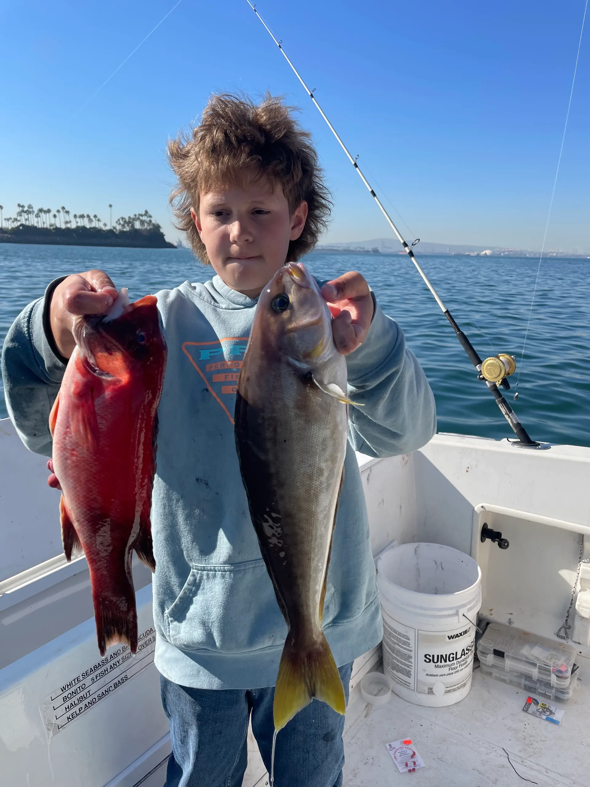 Sunbird Neptune 230  in Huntington Beach, CA — photo 2