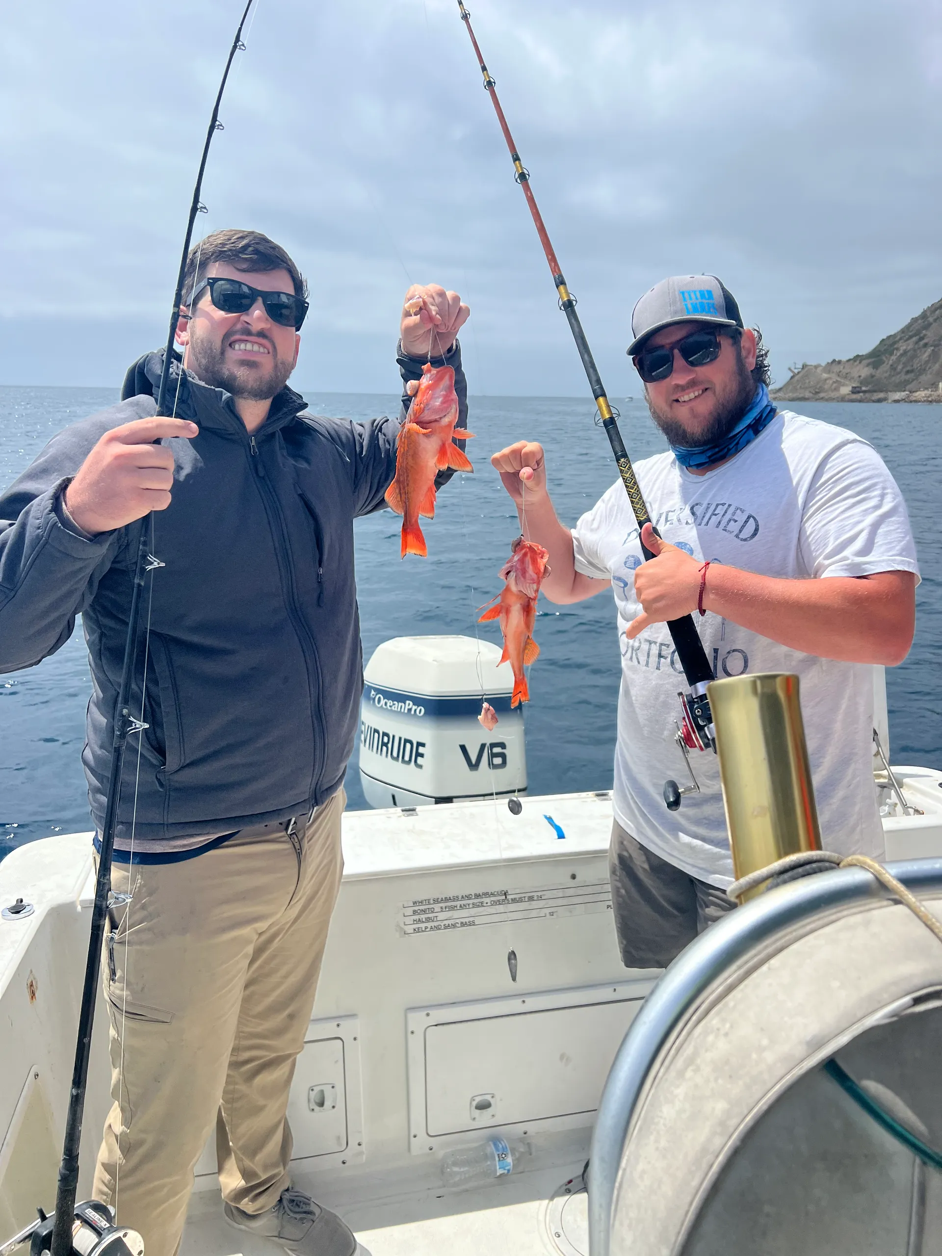 Sunbird Neptune 230  in Huntington Beach, CA — photo 4