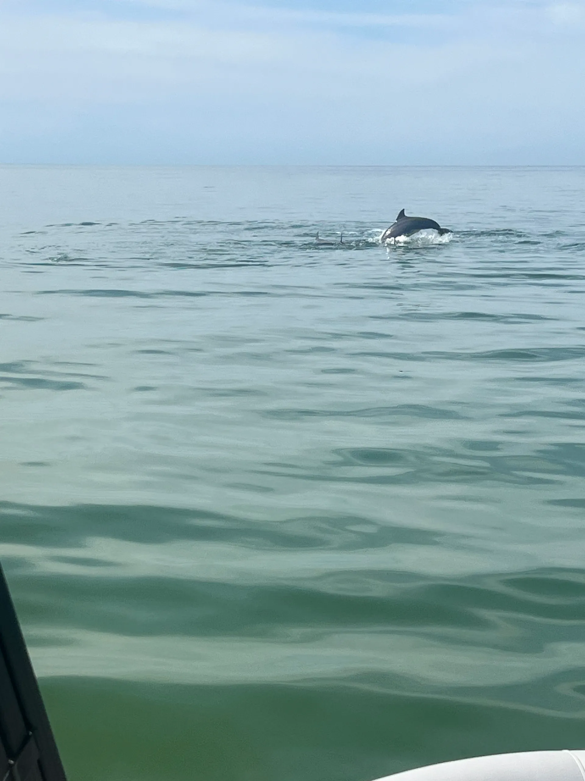 Bentley Legacy Navigator 24 Feet 250hp