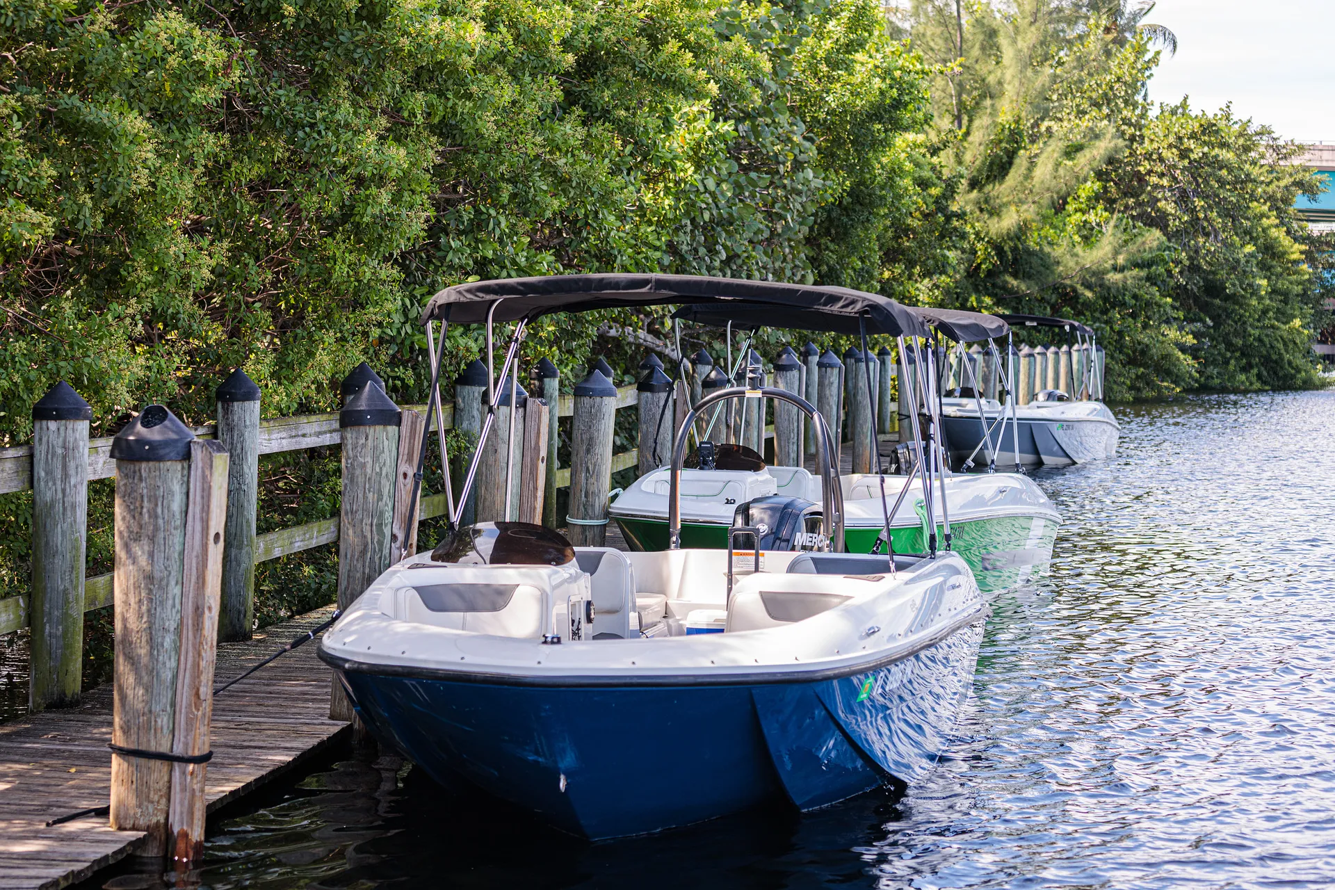 BAYLINER ELEMENT E18 in Deerfield Beach, FL — photo 5