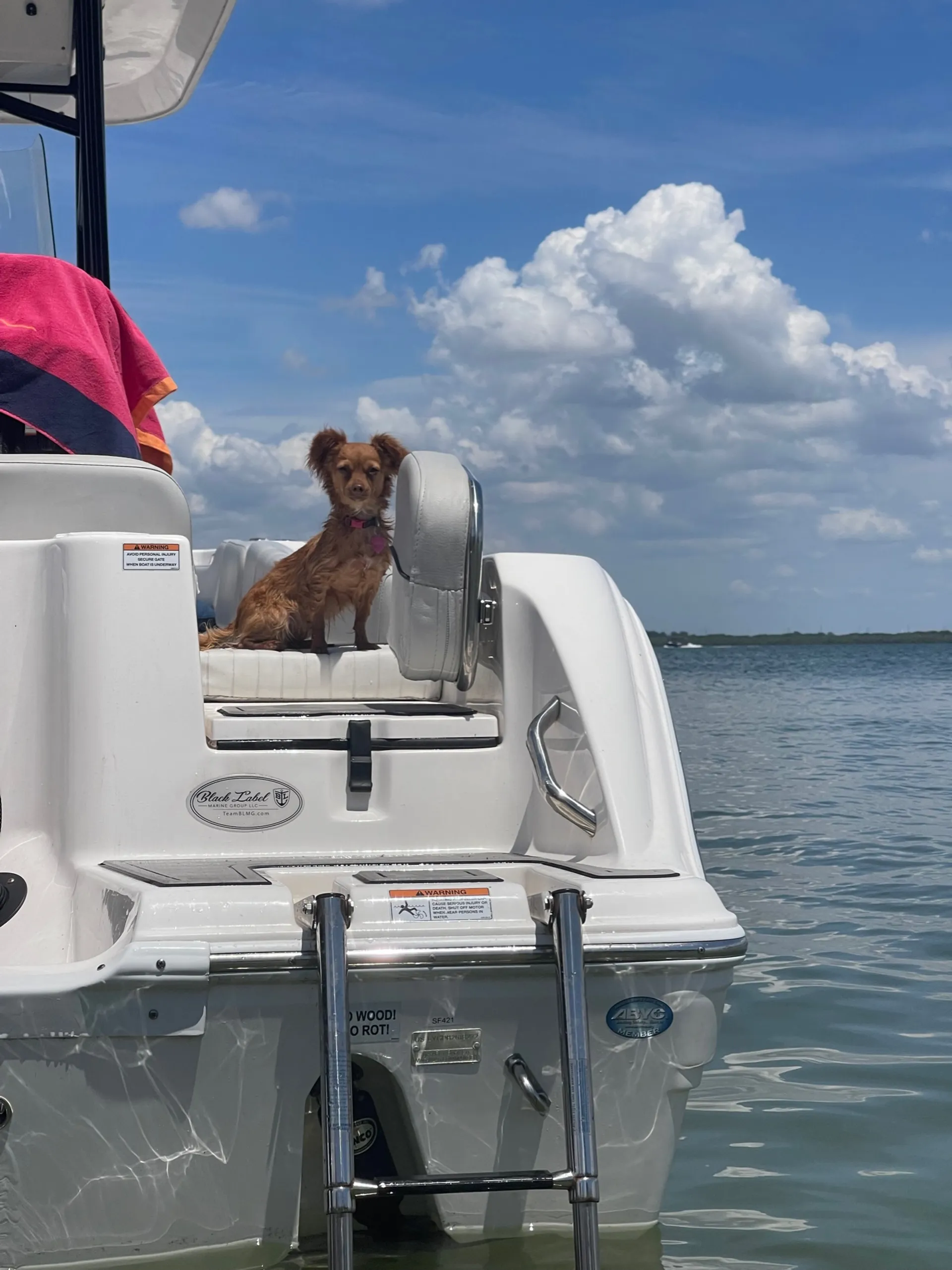 Welcome to the Dive Bar!