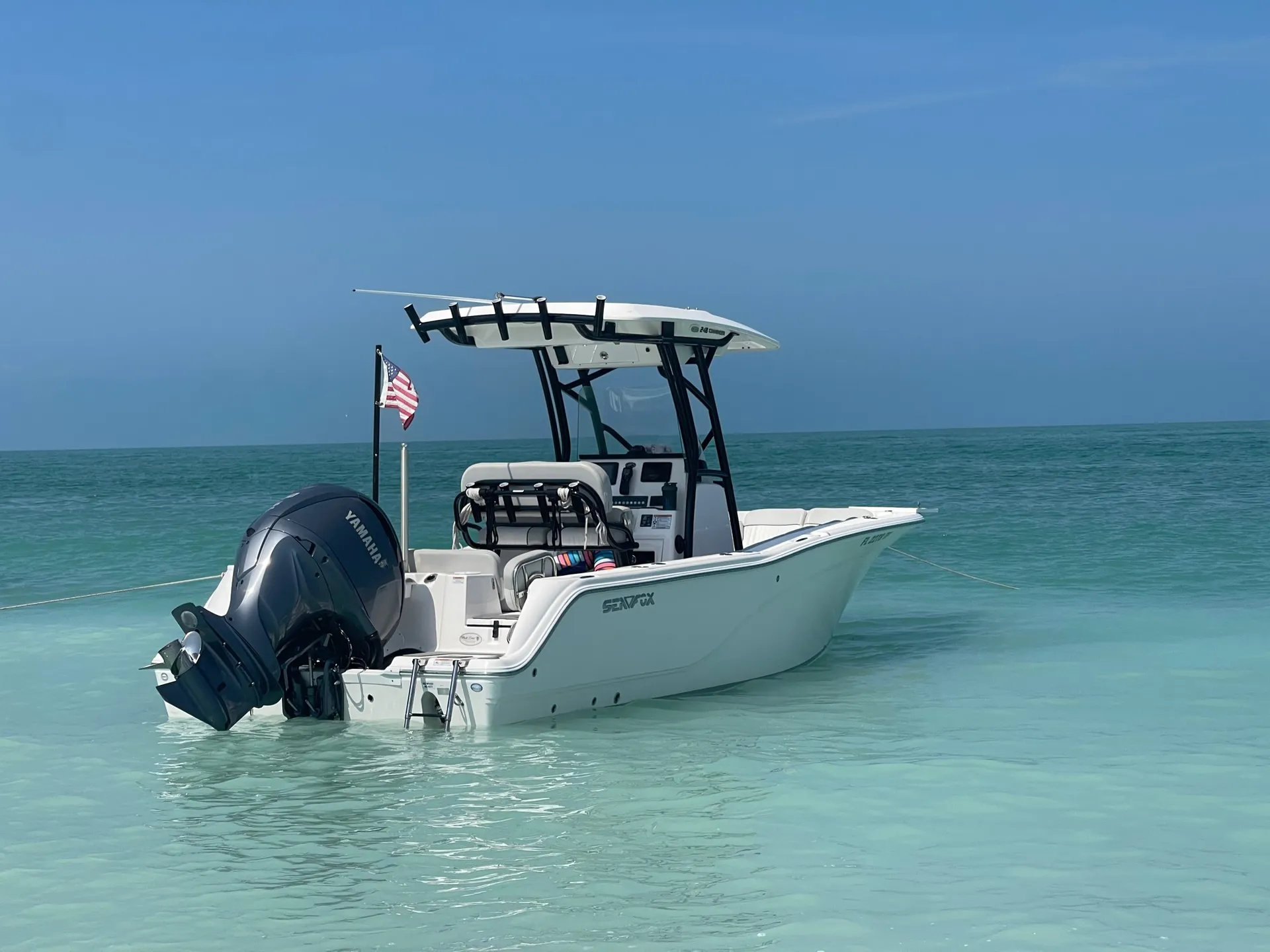 Welcome to the Dive Bar!