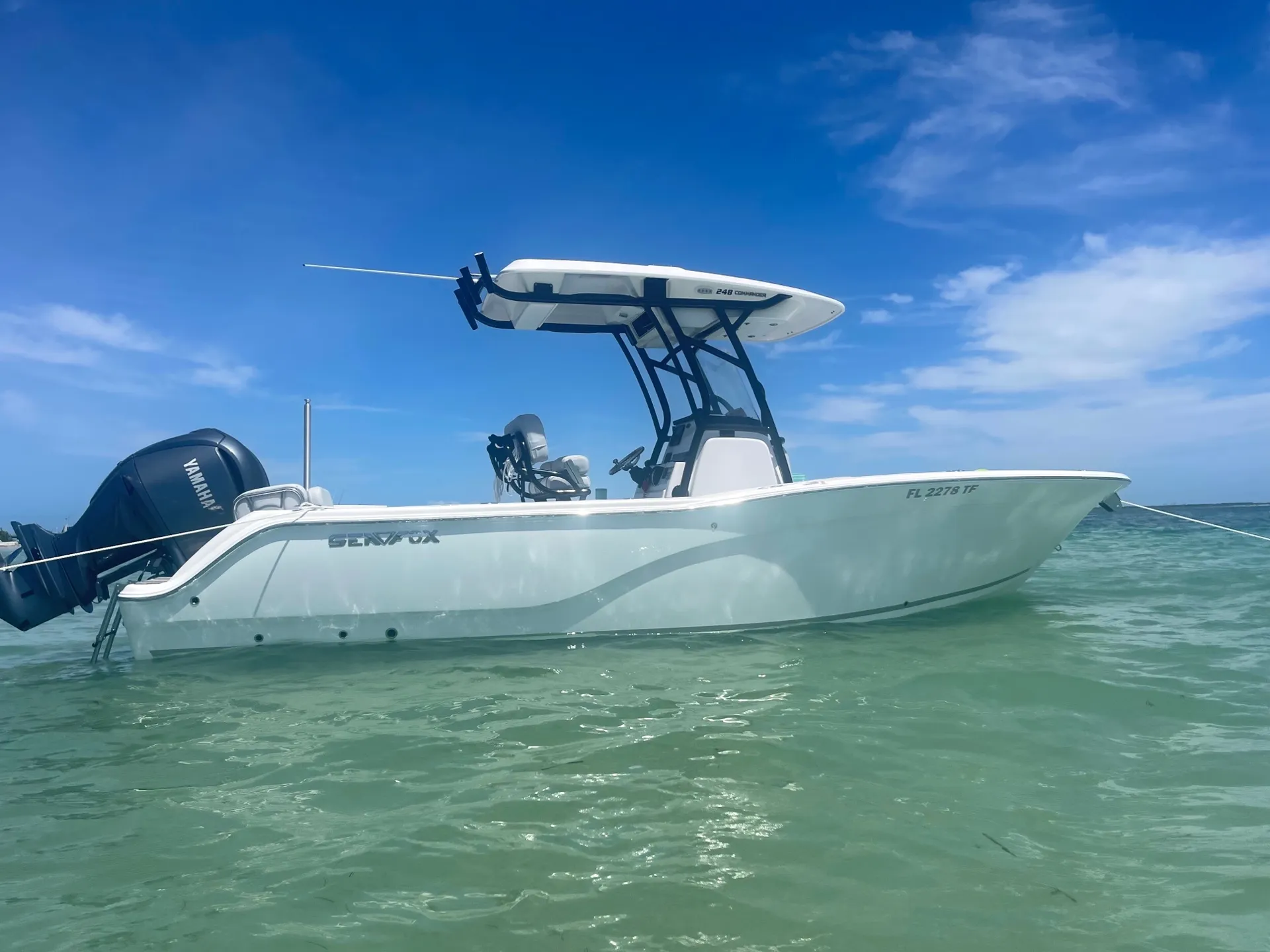 Welcome to the Dive Bar!