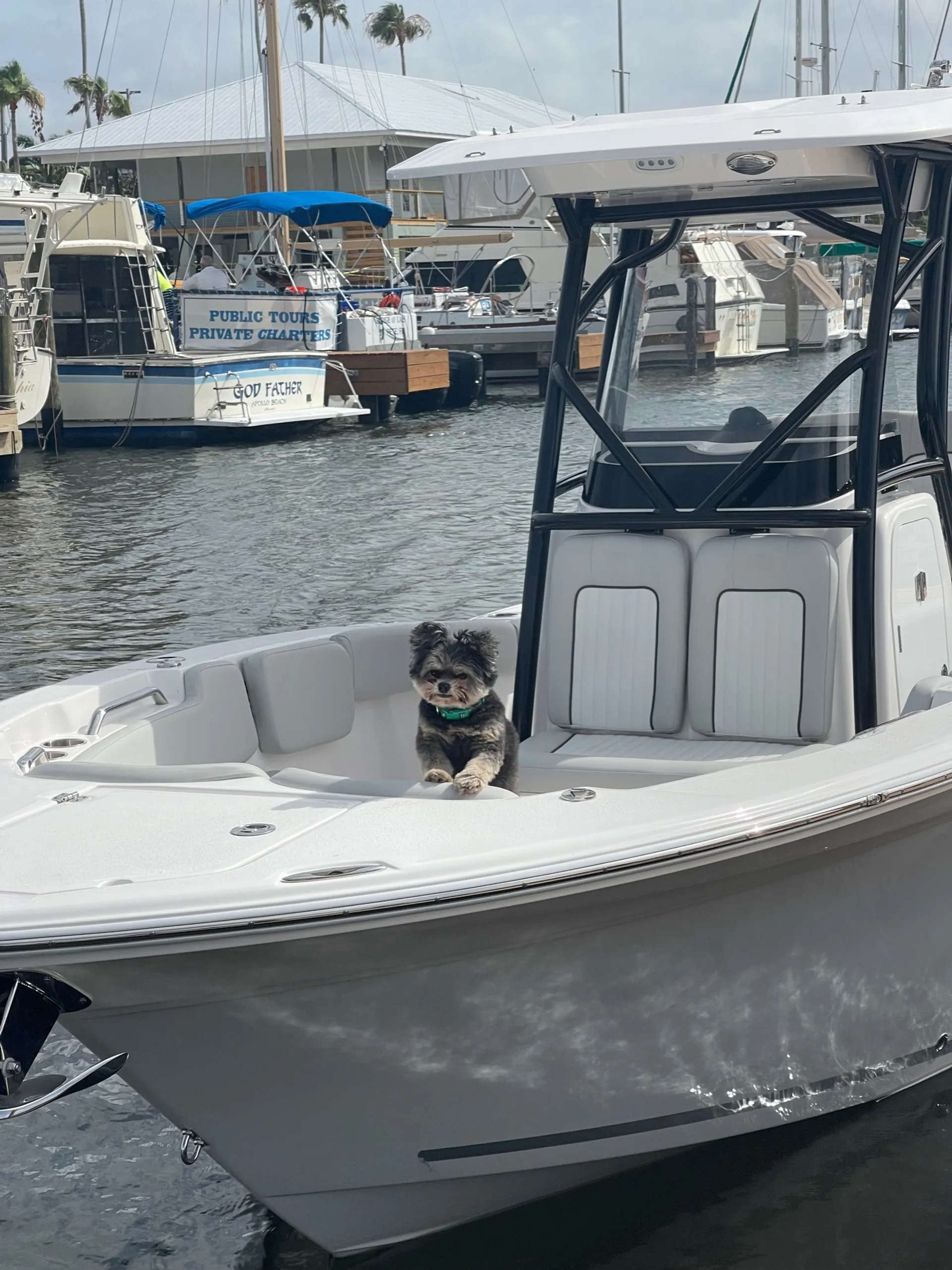 Welcome to the Dive Bar!