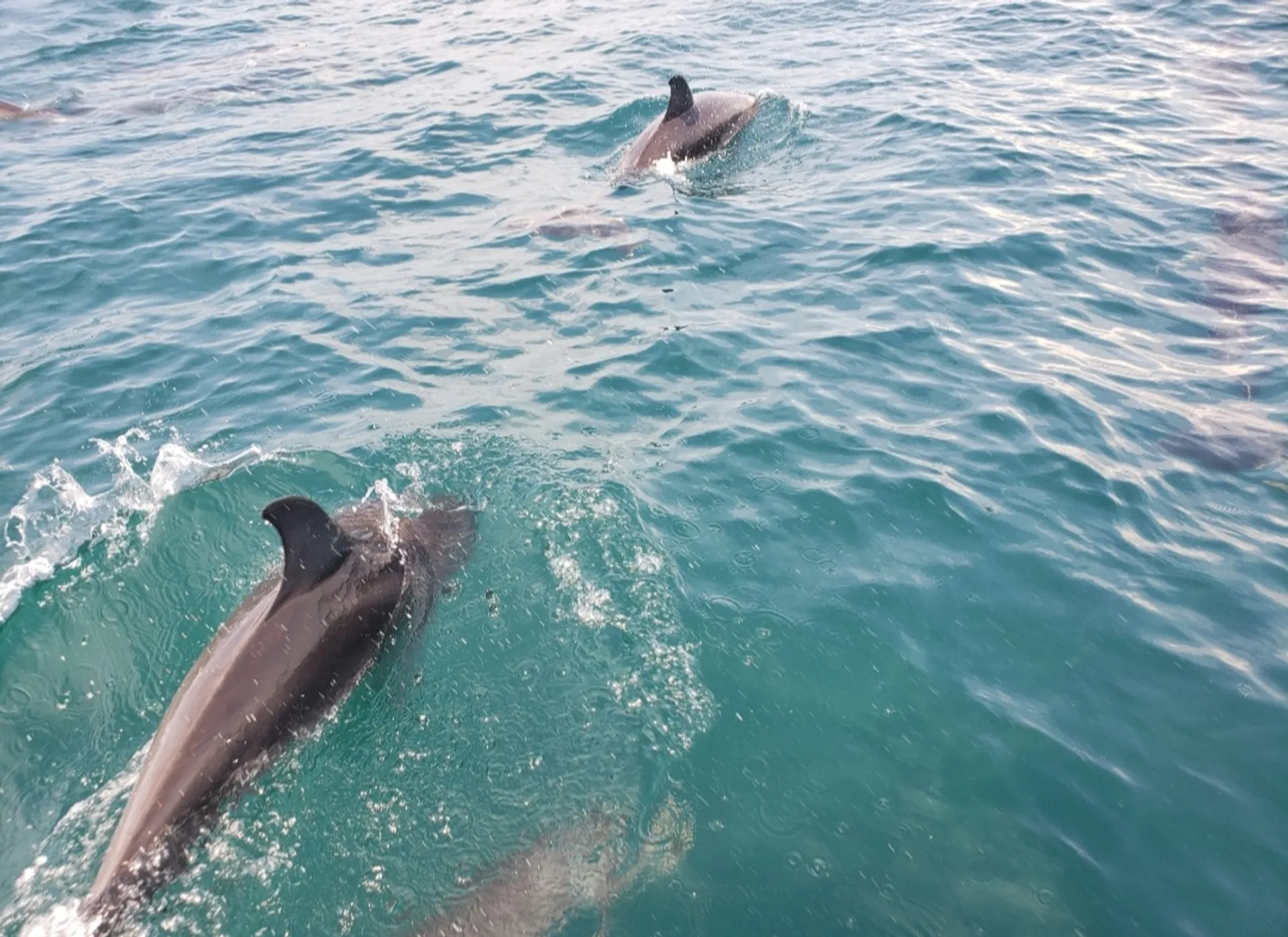 Great boat with lots of space, can do anything