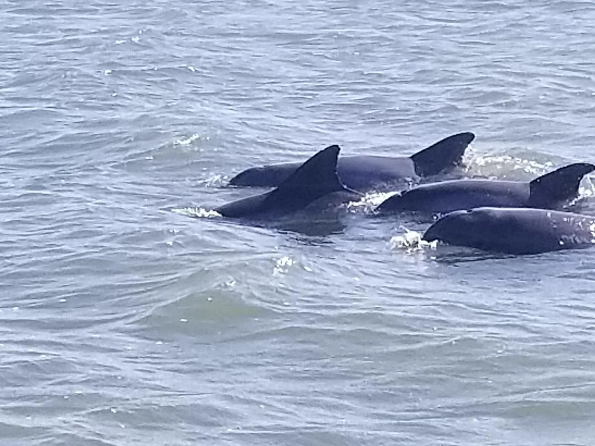 Great boat with lots of space, can do anything