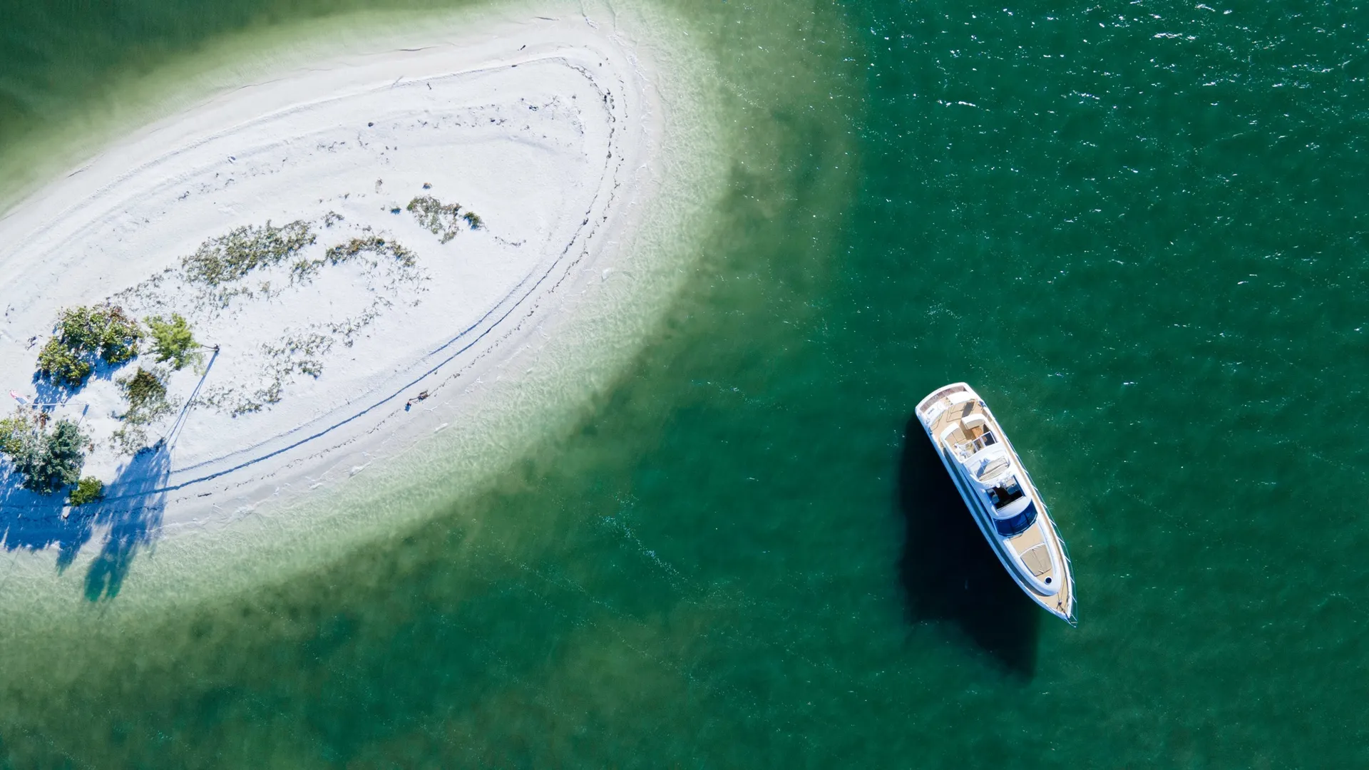 65' The Princess for charter in  Clearwater -12 pax