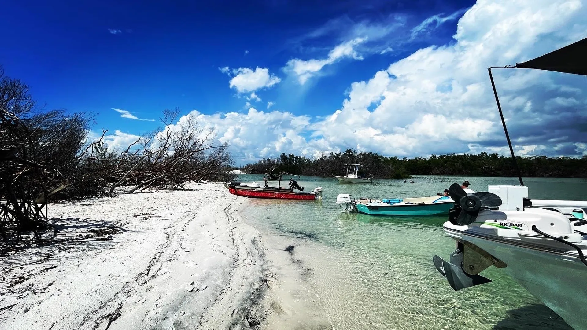 Beach tours, Eco Tours, Fishing Tours 30ft  twin 400s