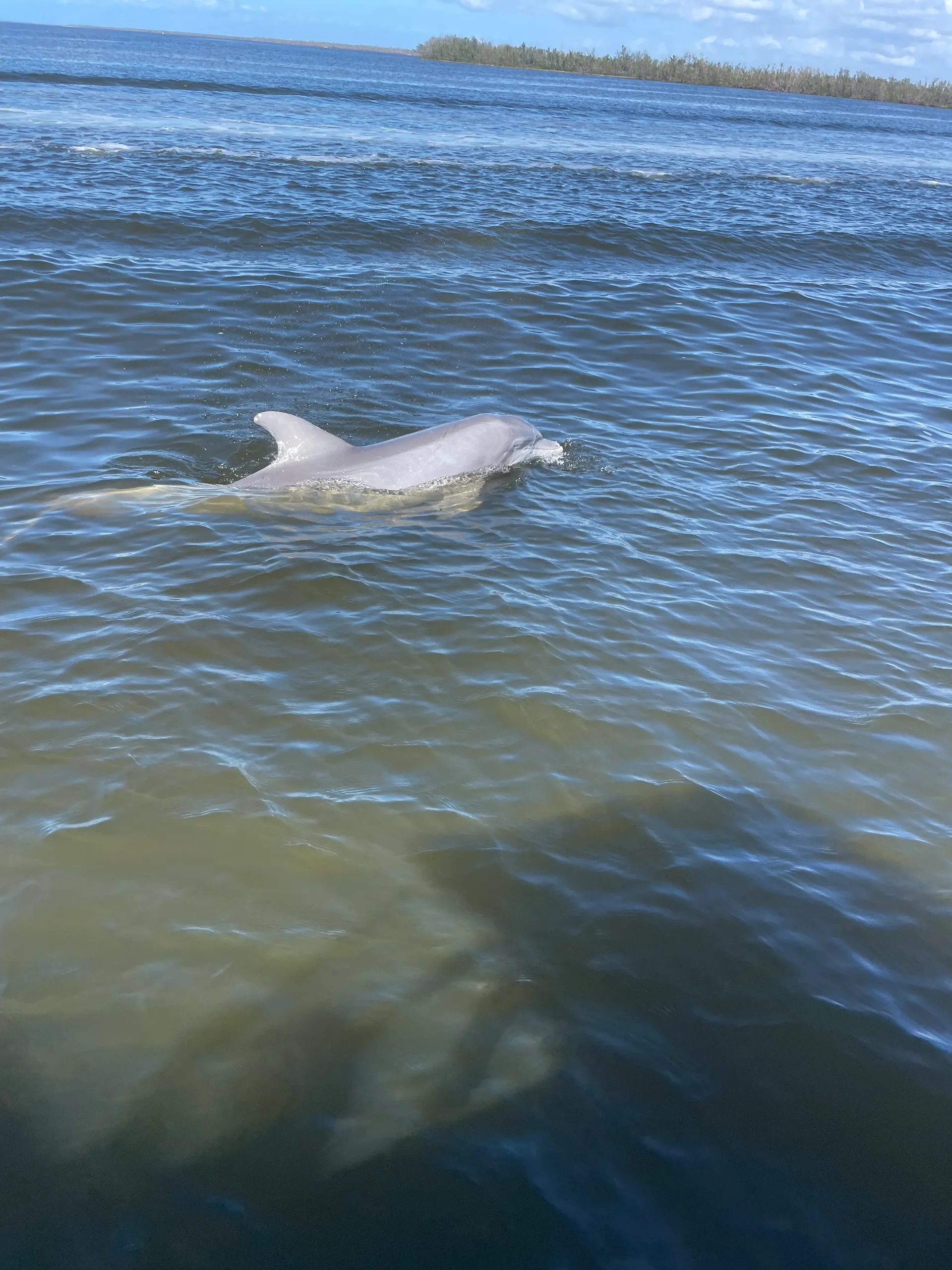 *ONLY AVAILABLE WHEN RENTING AIRBNB* - Explore on Our Tritoon!