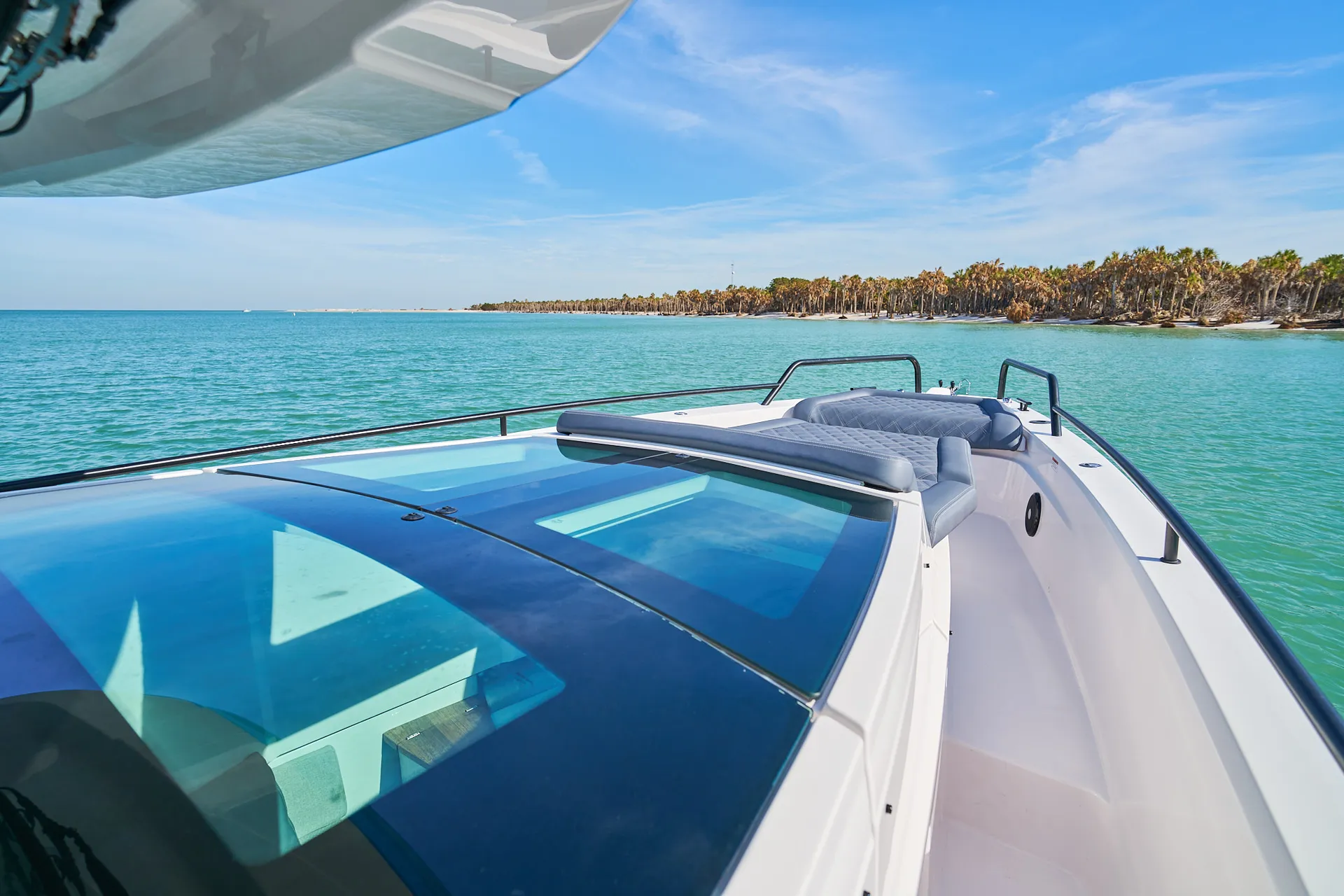 Island Hop to Passage Key and Egmont Key! 🐬