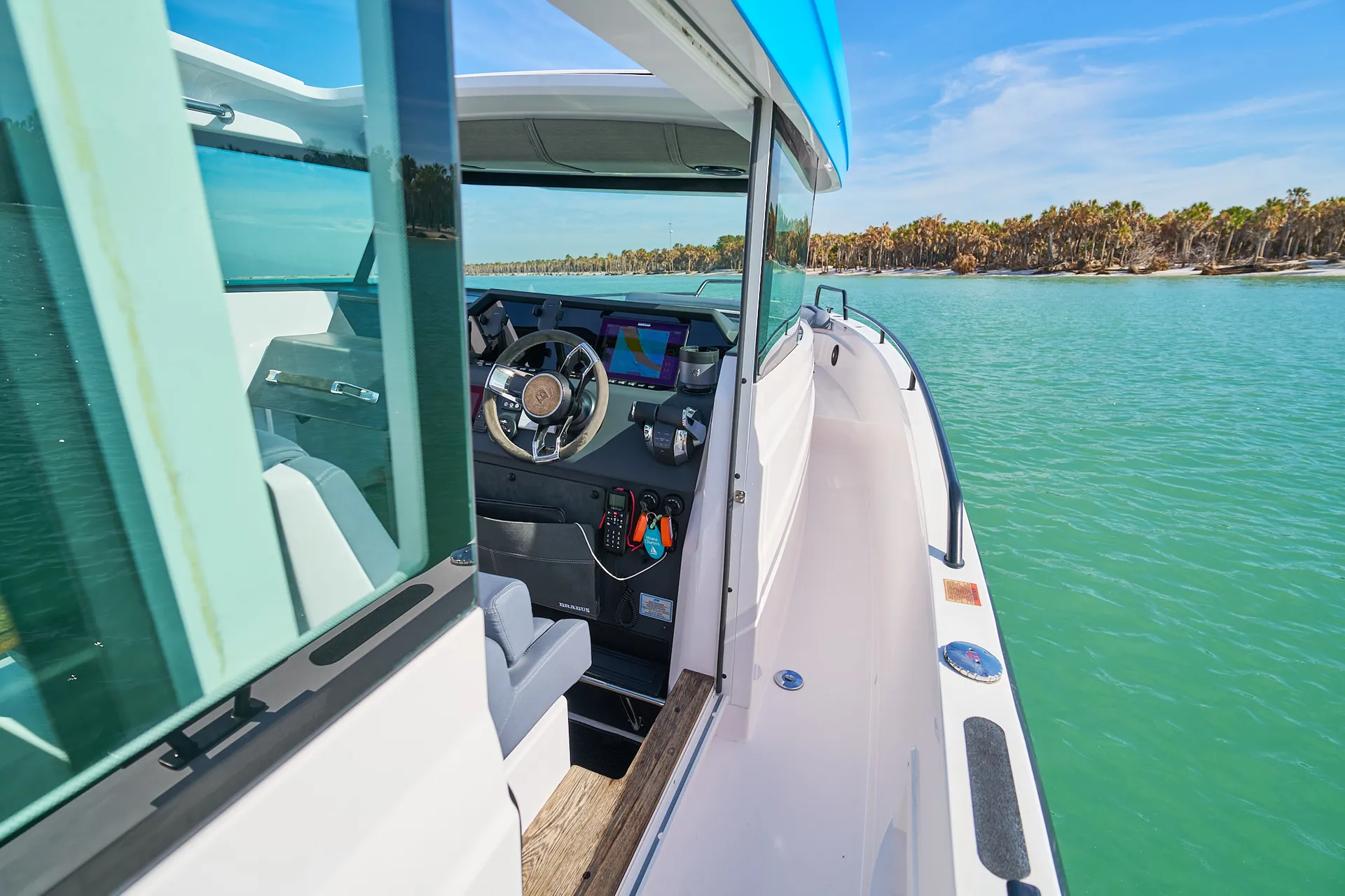 Island Hop to Passage Key and Egmont Key! 🐬