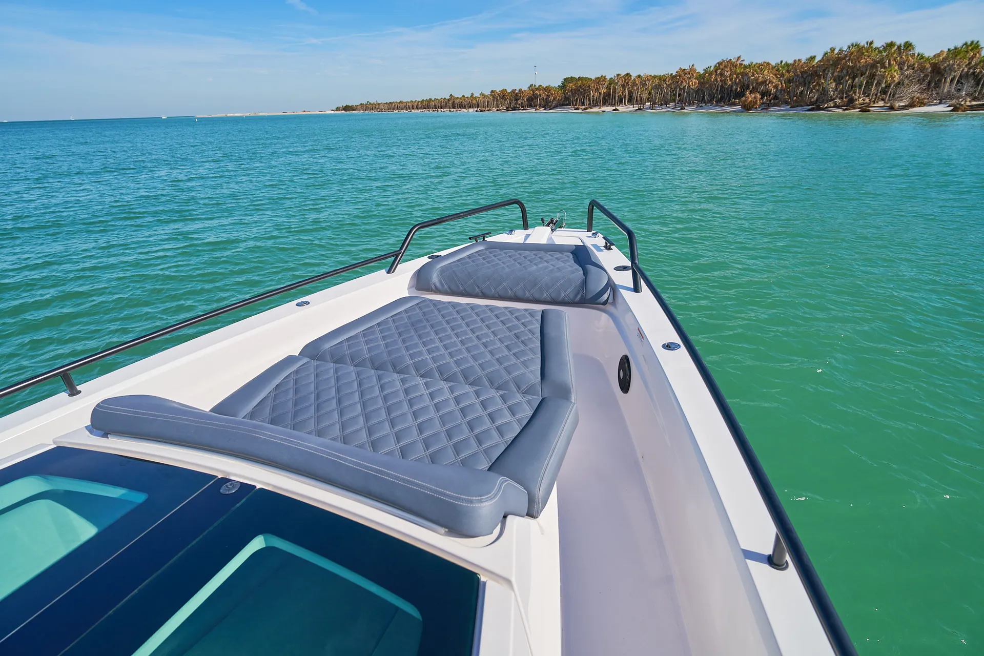 Island Hop to Passage Key and Egmont Key! 🐬