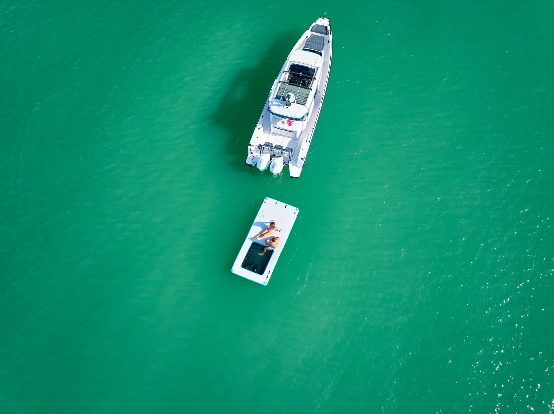 Island Hop to Passage Key and Egmont Key! 🐬