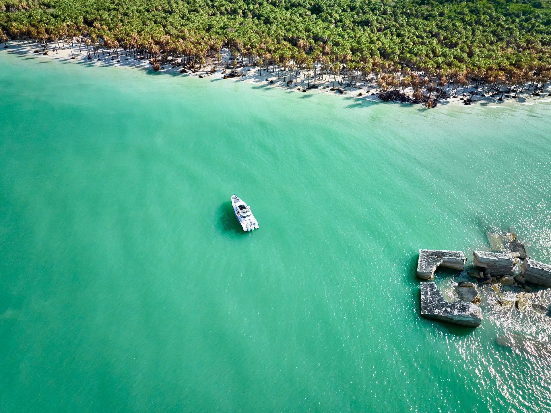 Island Hop to Passage Key and Egmont Key! 🐬