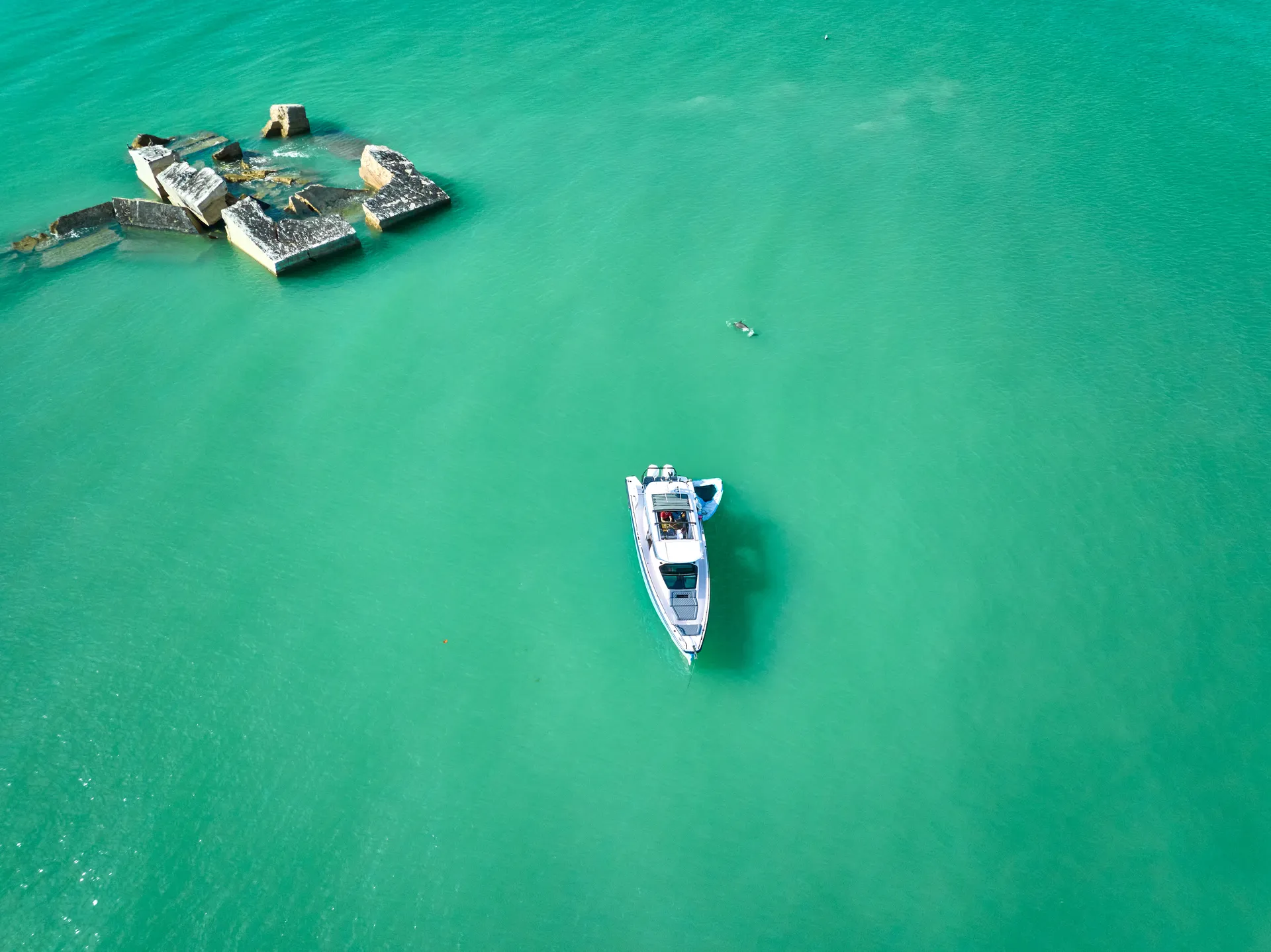 Island Hop to Passage Key and Egmont Key! 🐬