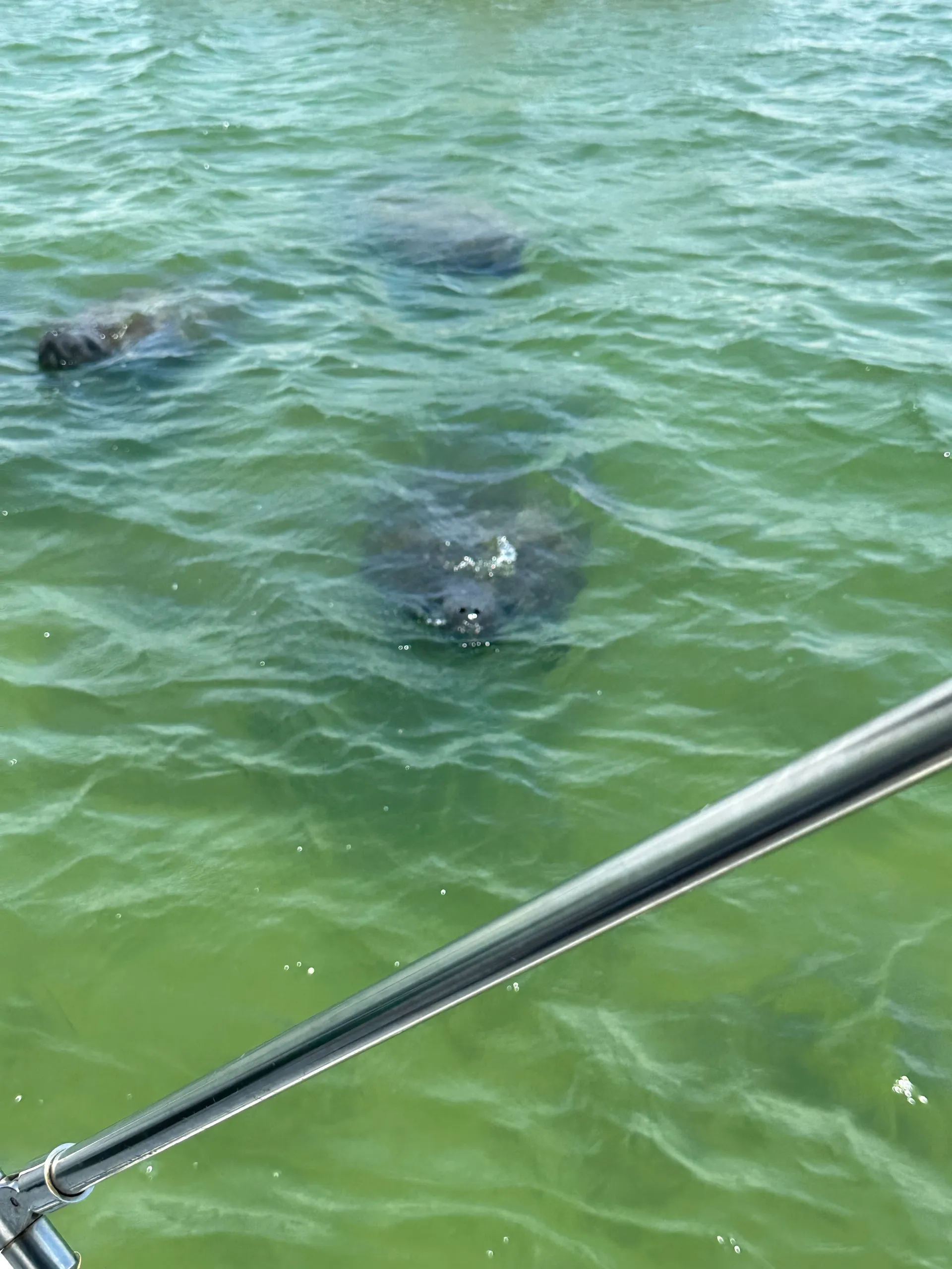 Gorgeous Tiara Yacht  - 10% Off on Weekday Cruises!