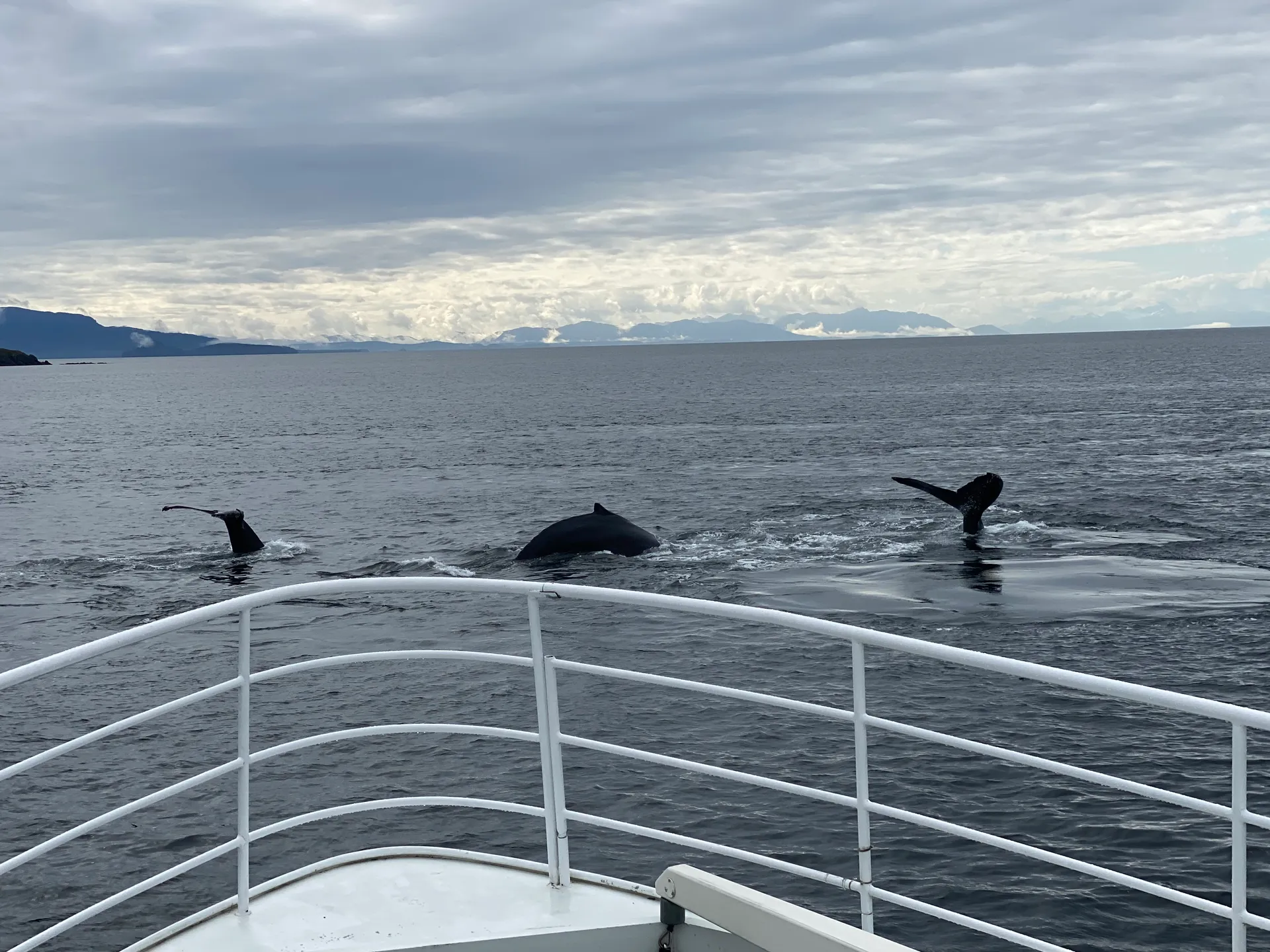 90’ Expedition yacht touring San Juan Islands and beyond! 