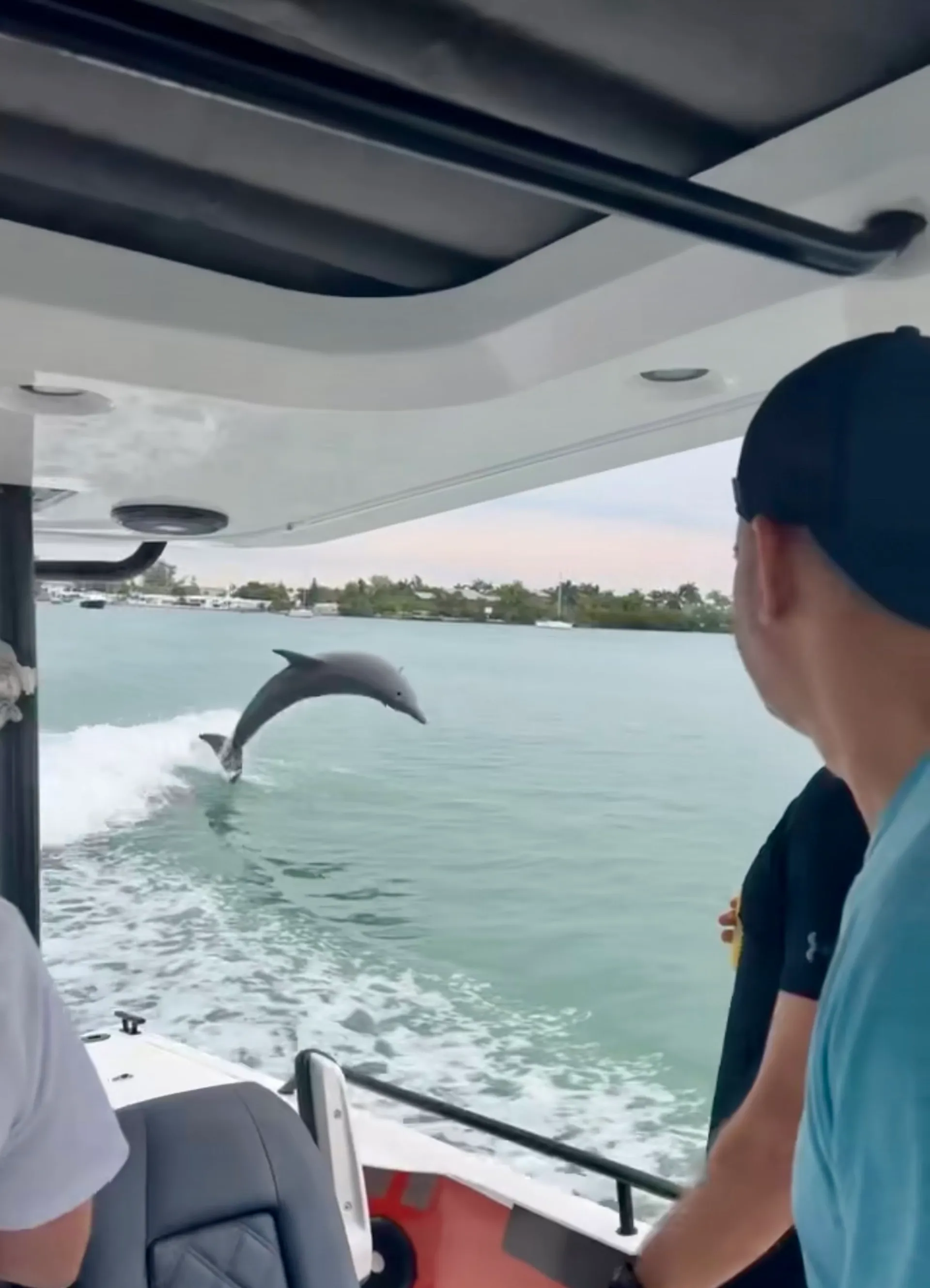 Island Hop to Passage Key and Egmont Key! 🐬