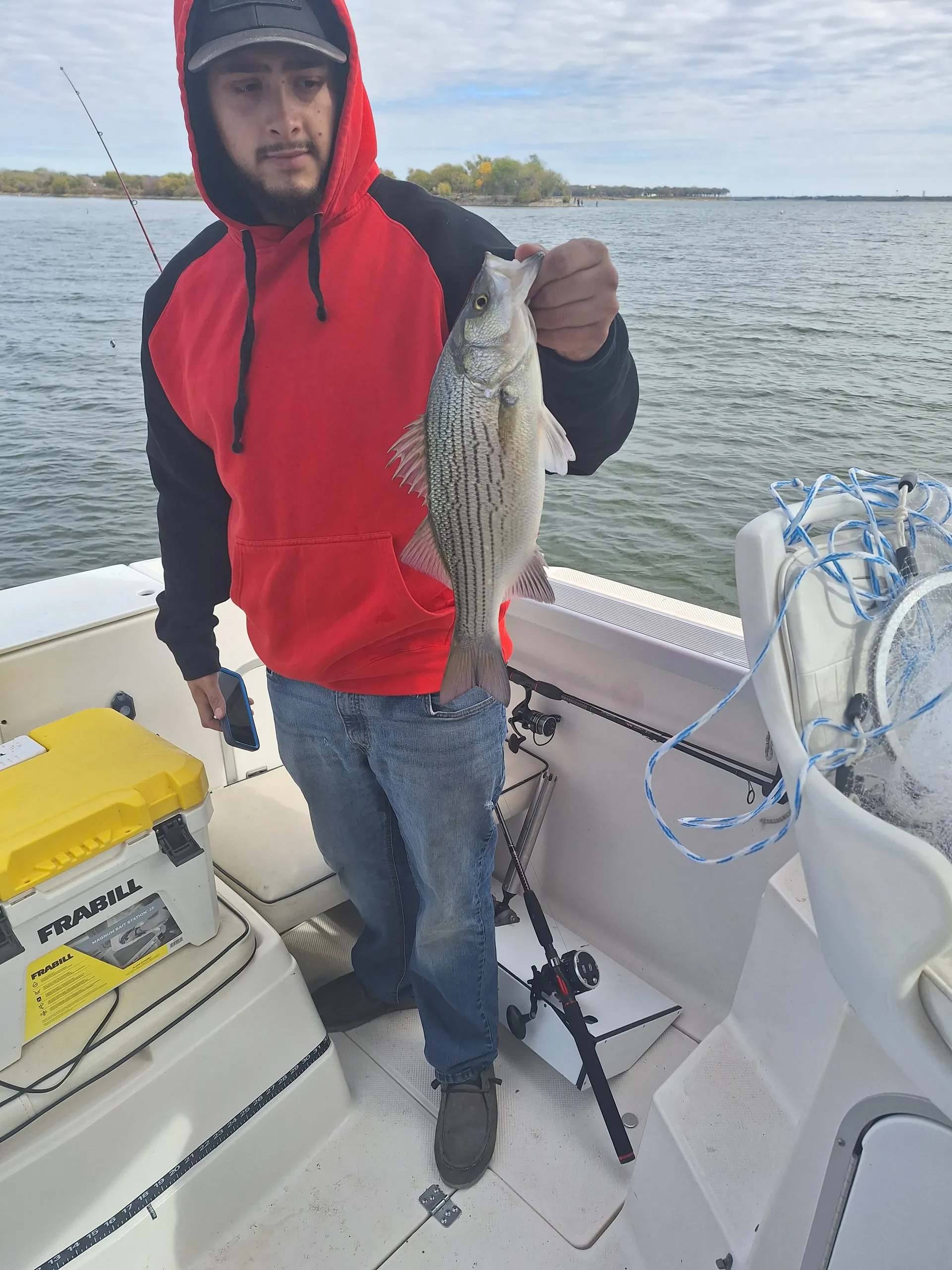 Cruise or Fish w/ Captain. Full Cabin, Heat, A/C, Private Restroom