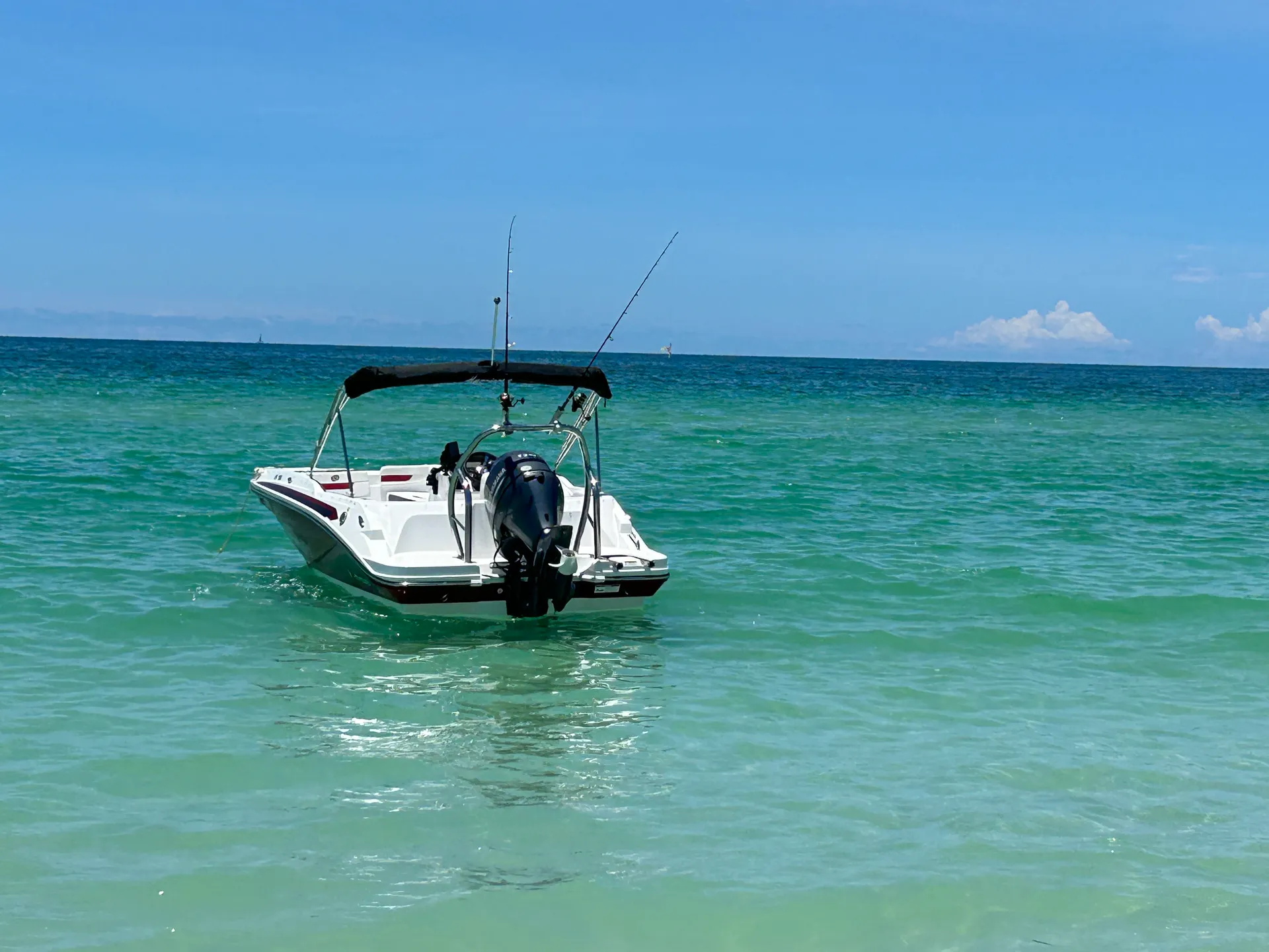 St Augustine and Palm Coast   Seats 9 comfortably, Free Fuel