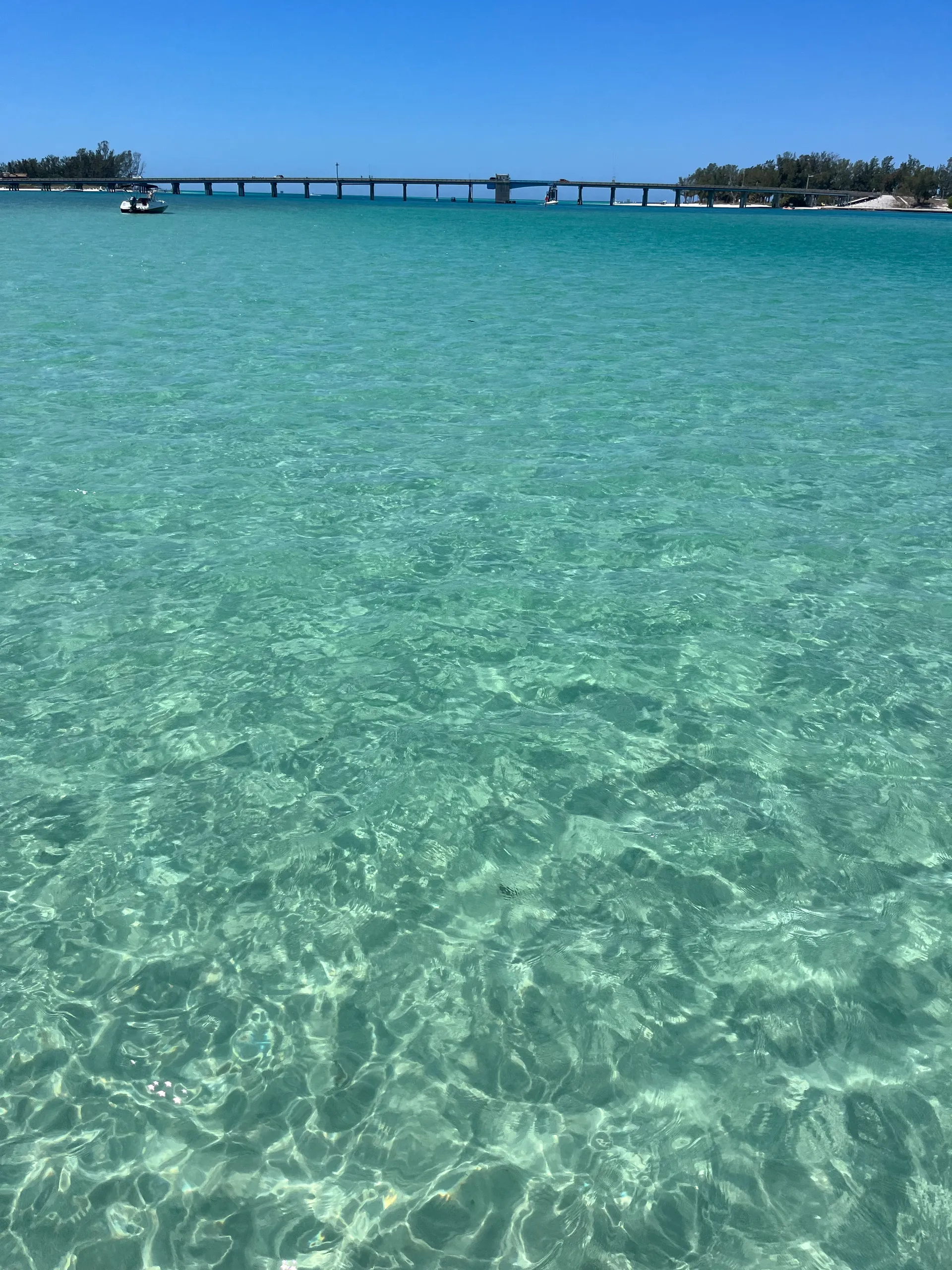 Sarasota/Siesta Key/Longboat Key - Bay Cruise and Sandbar Charter