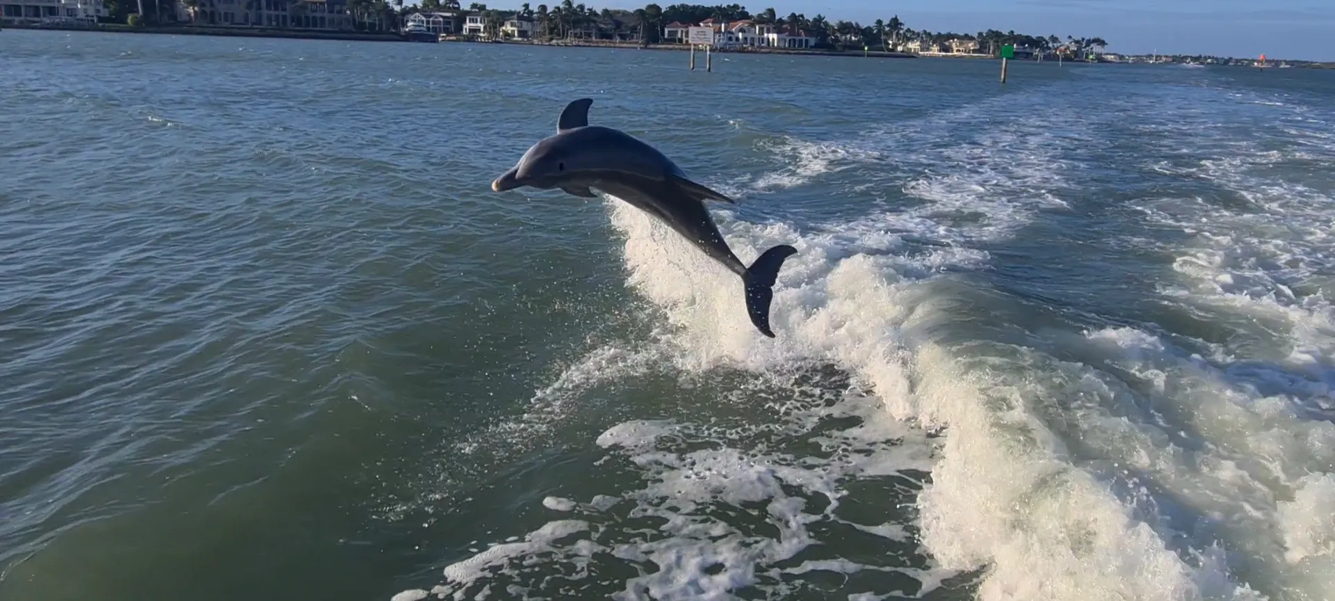 Naples:Keewaydin or Sunset -LUXURY service .All you need included!