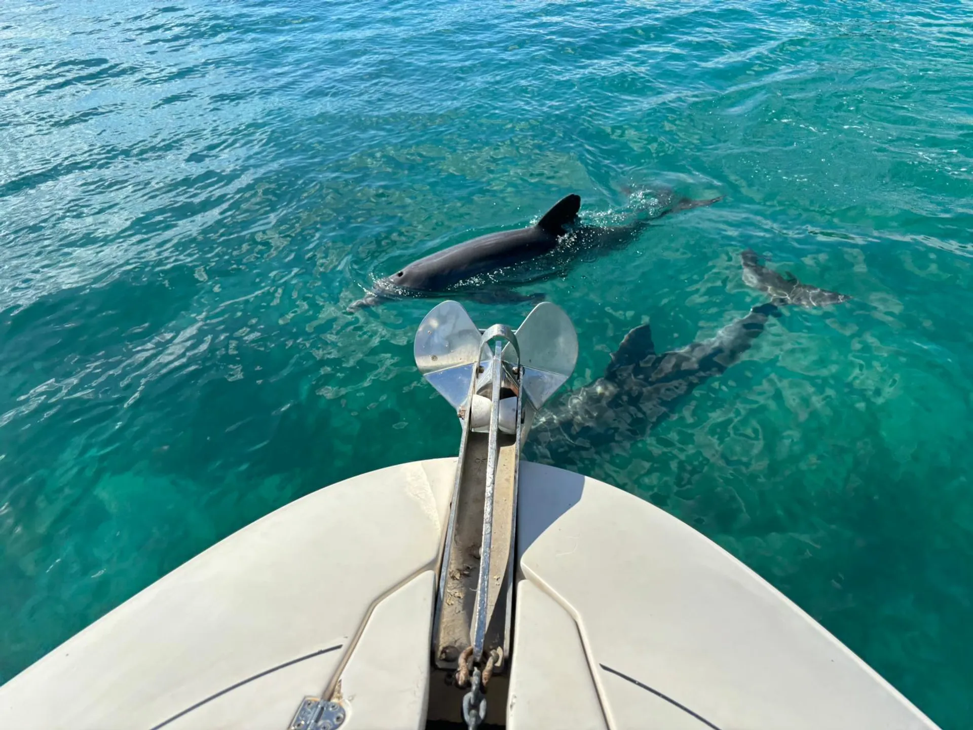 Miami Private Boat Trip on a Chaparral Cabin Cruiser