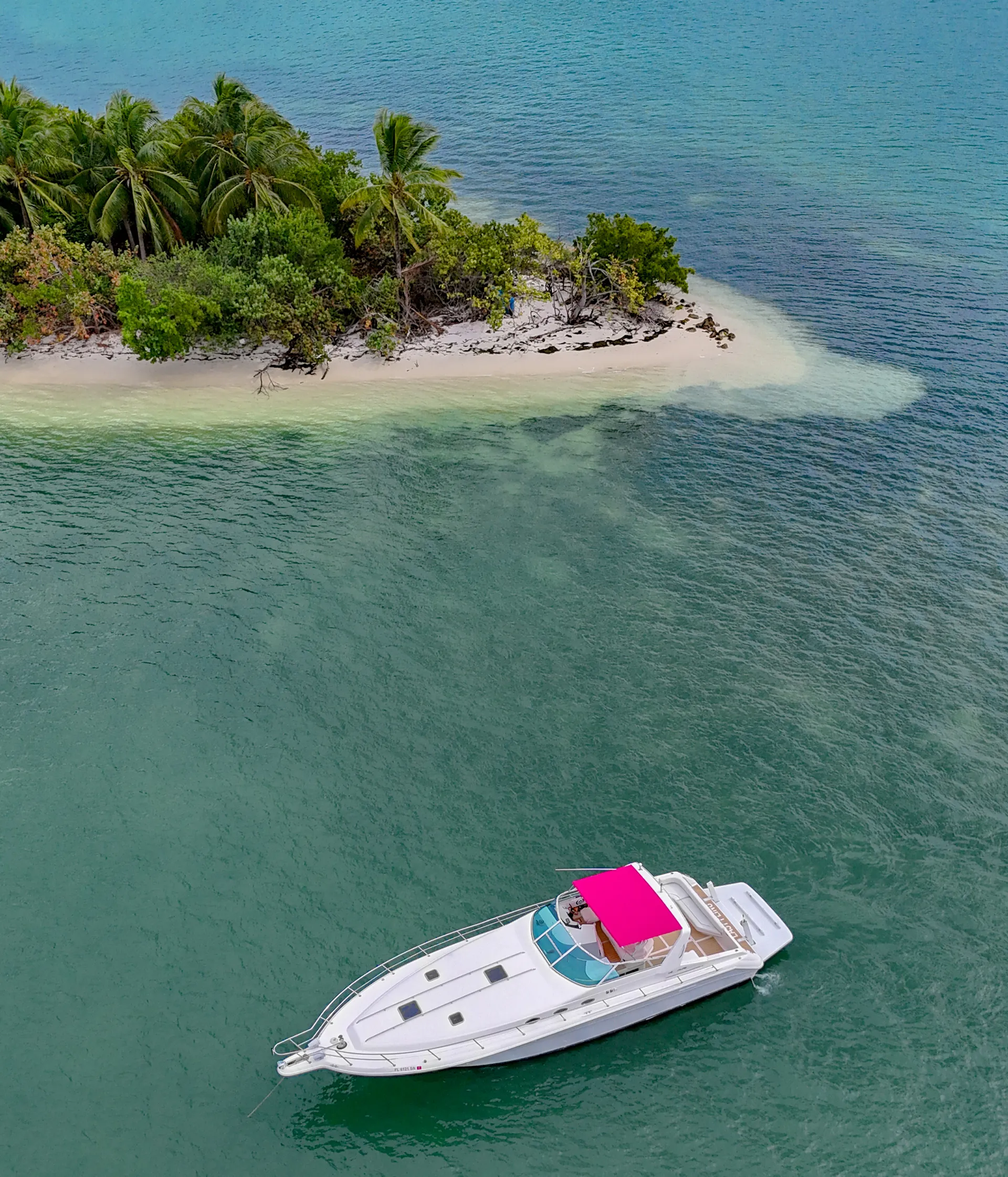 The New Pink Sea Ray 50' 