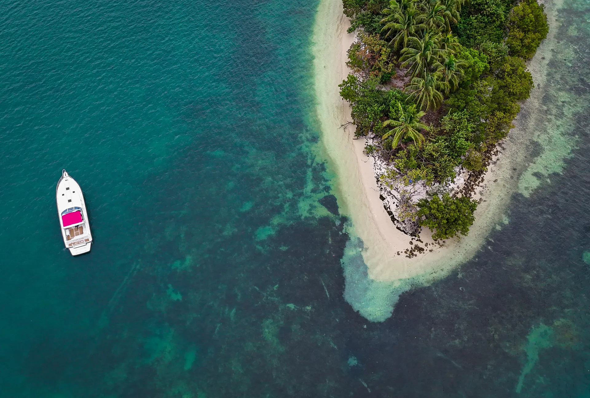 The New Pink Sea Ray 50' 