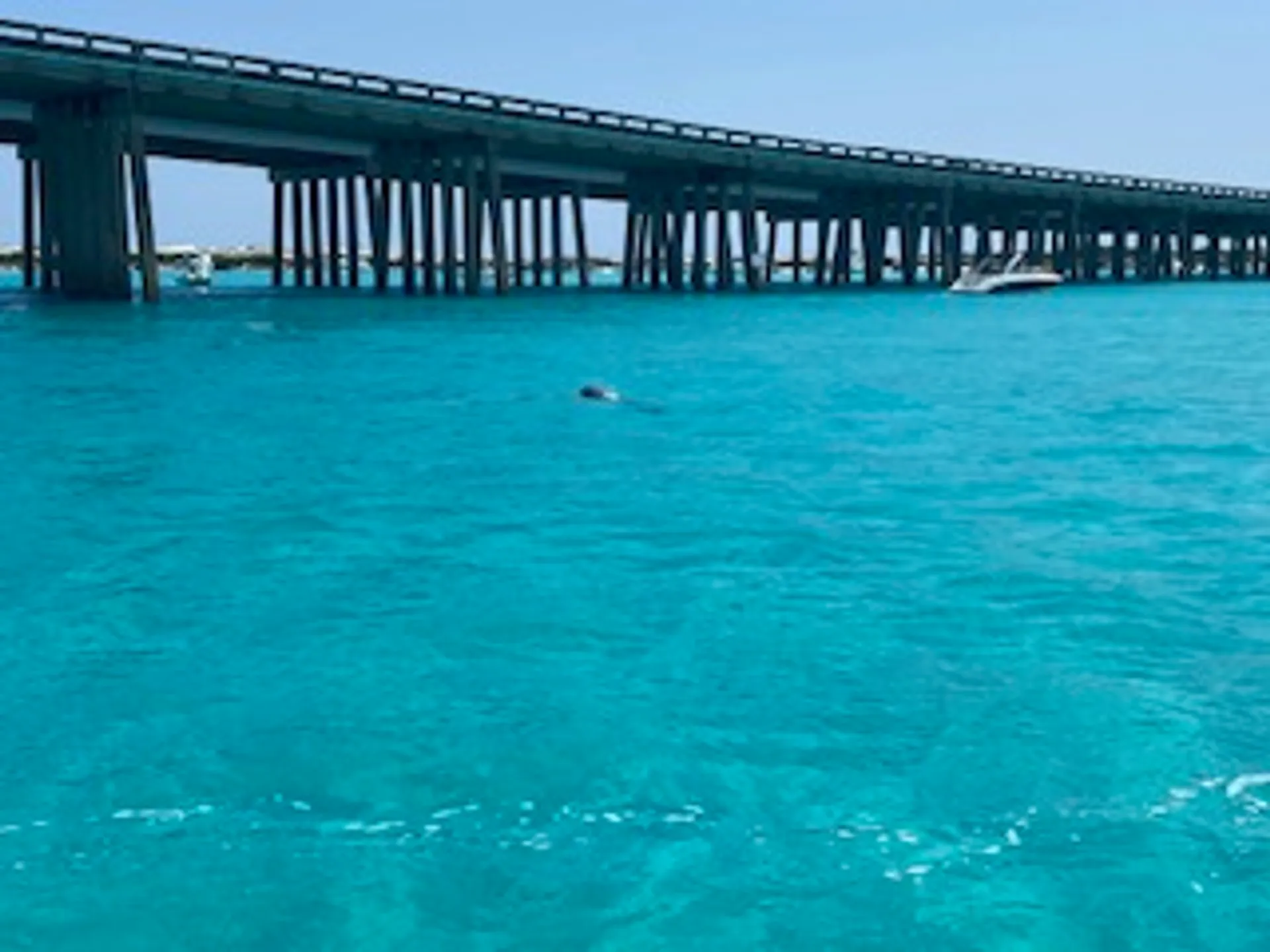 Tiki Themed Hula-Mama 30 ft pontoon 2slides 150 HP Fuel Included 