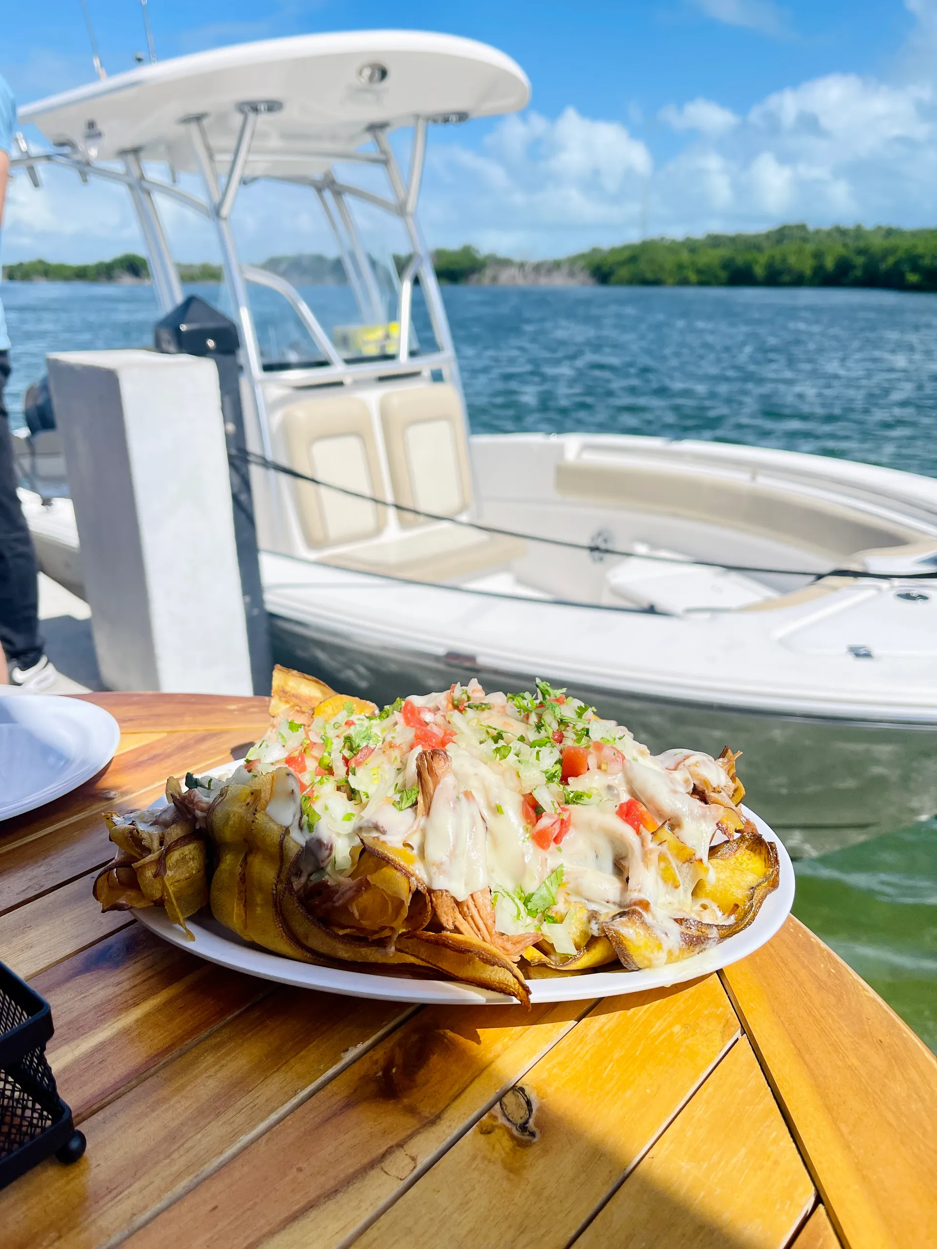 Why Knot? - 22ft SeaFox Center Console