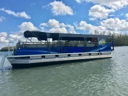 The Island Dreamer Boat Cruise 35' Pontoon boat photo
