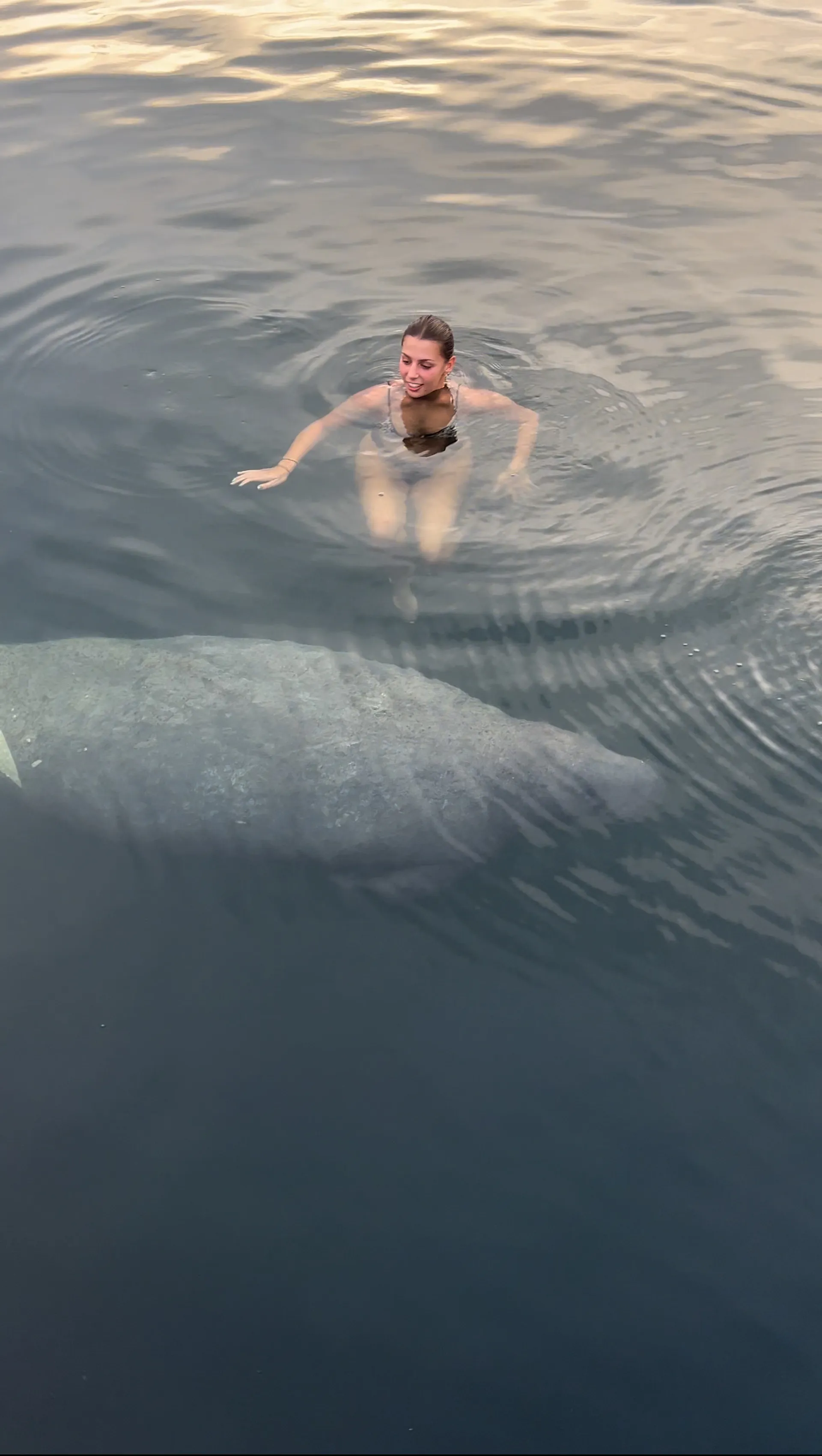 #1 Luxury Charter – 38' SUV of the Seas – St. Pete/Tampa Adventures