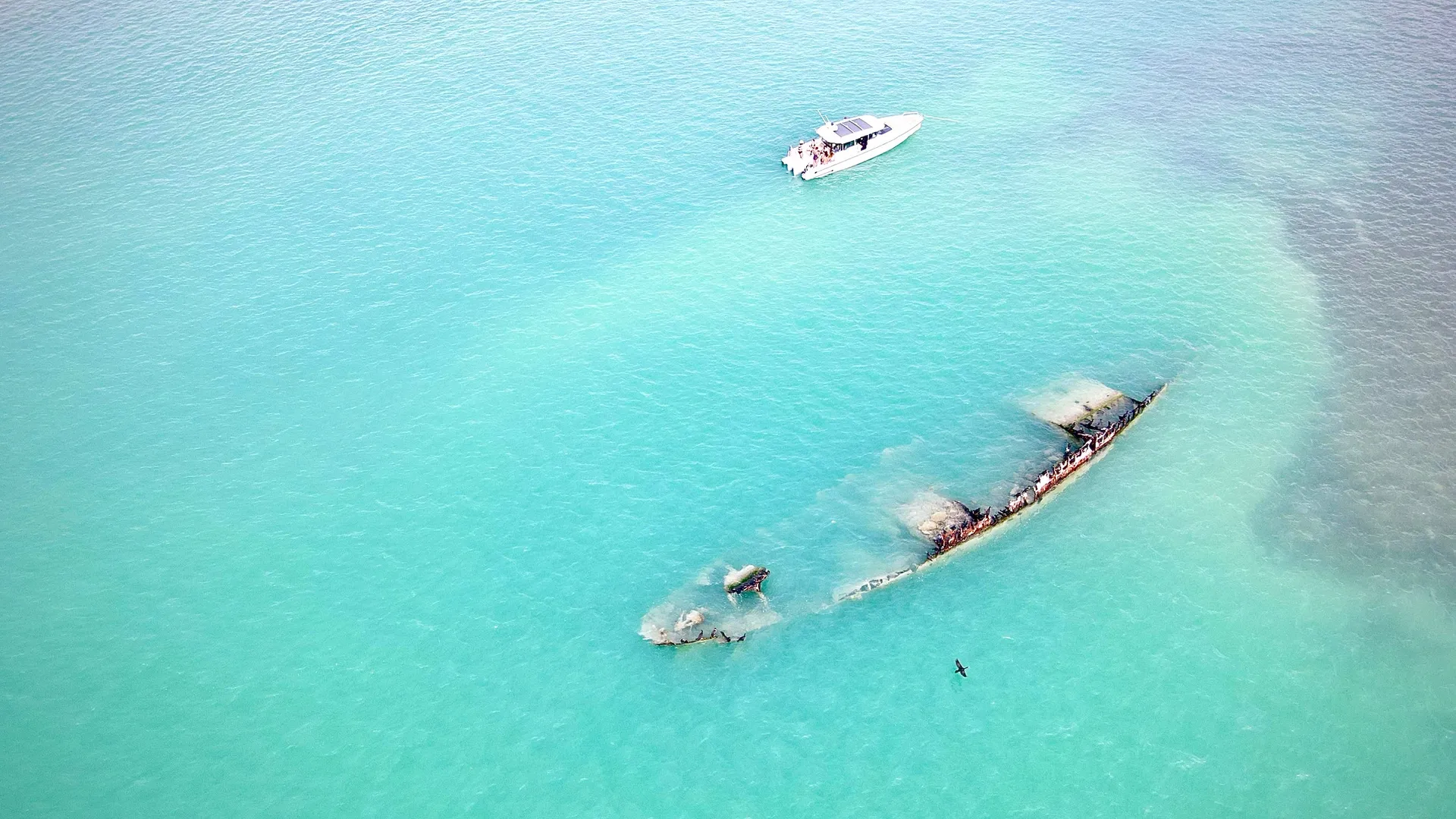 #1 Luxury Charter – 38' SUV of the Seas – St. Pete/Tampa Adventures