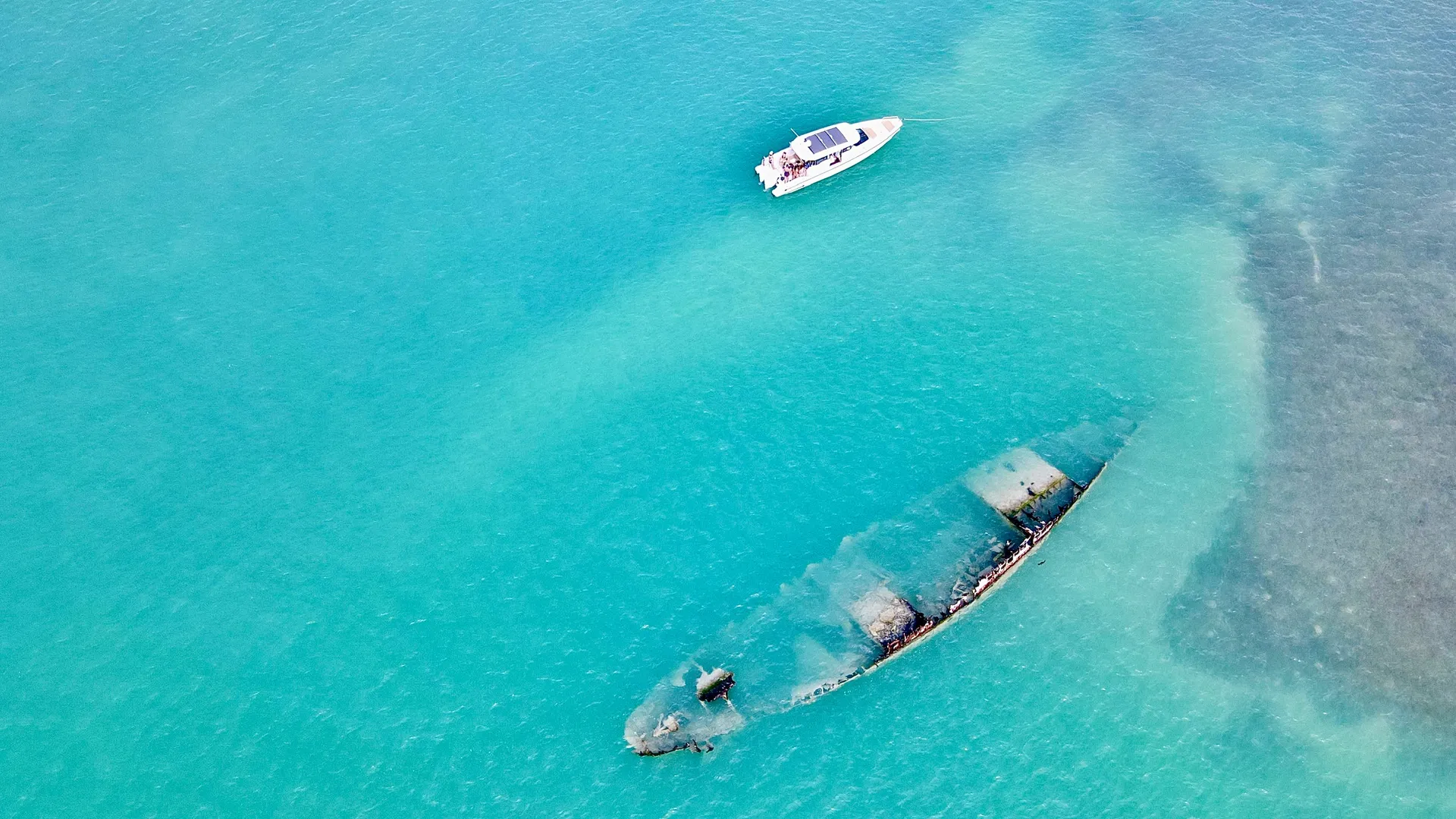 Tampa’s Ultimate 38' Luxury Boat - Explore Sandbars, Snorkel and More!