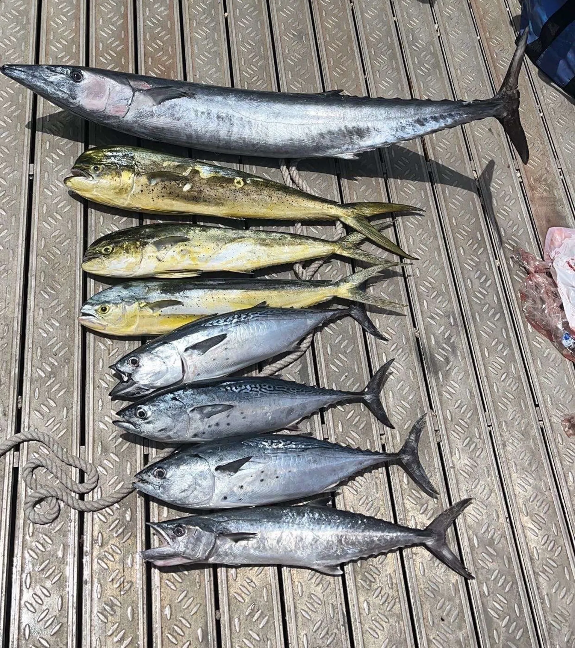 Pursuit OS385 Offshore w/3-F300HP in Boca Raton, FL — photo 10