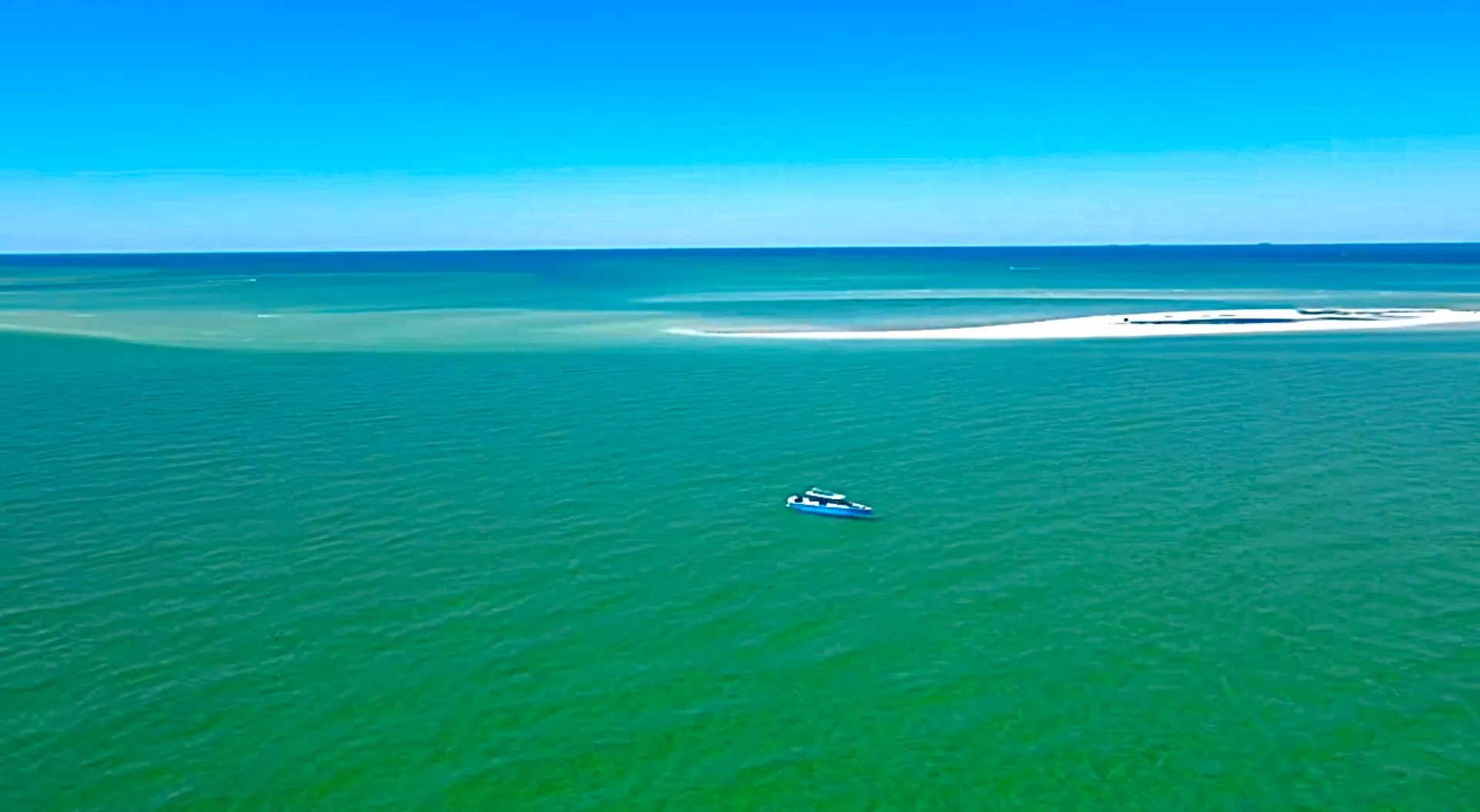 Island Hop to Passage Key and Egmont Key! 🐬