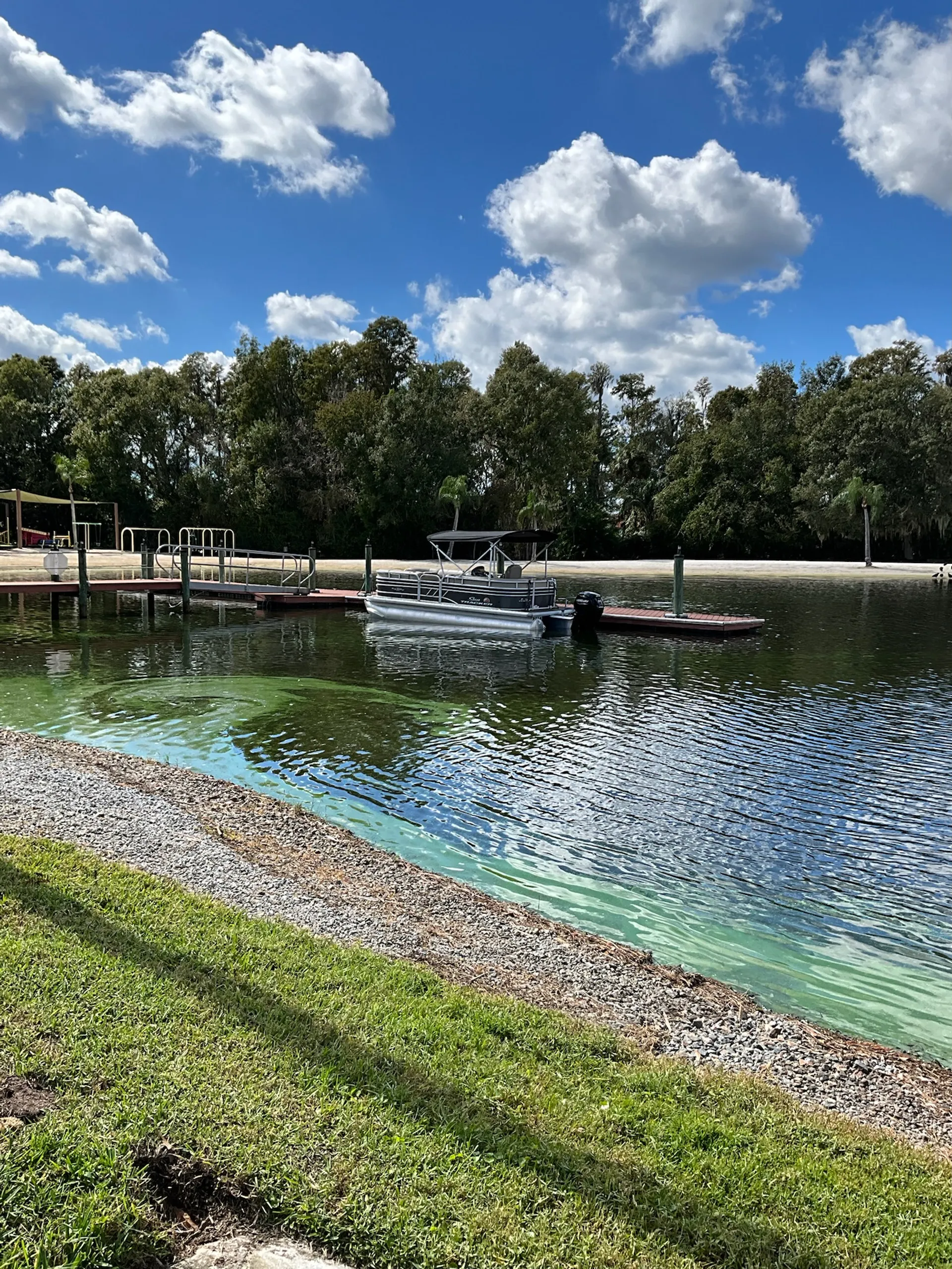 PONTOON DOLPHIN CRUISE ISLAND HOP BEACH FUN